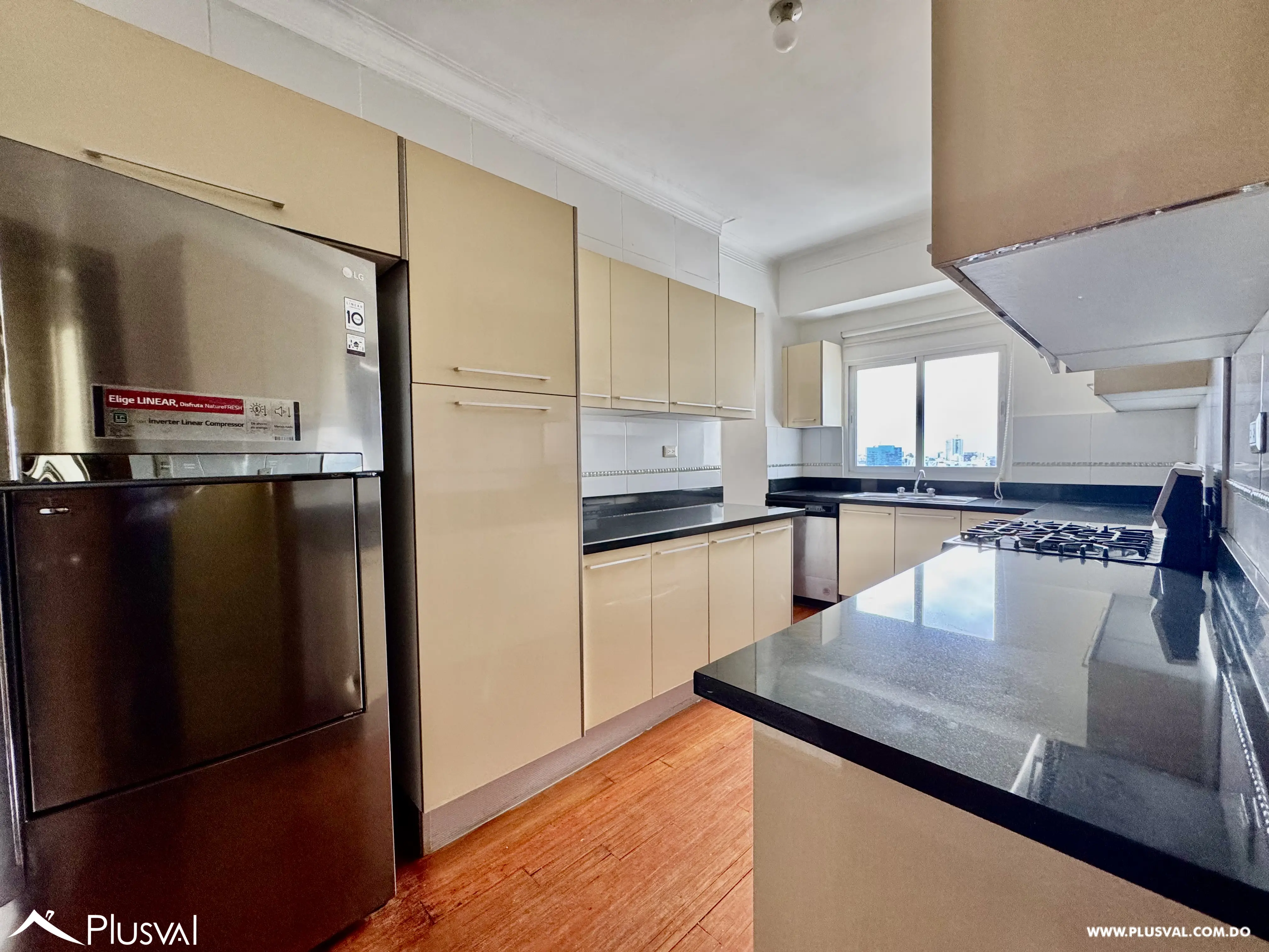 Vendo Amplio y Maravilloso Pent House en una de las Zonas mas Exclusivas de La Esperilla 490597