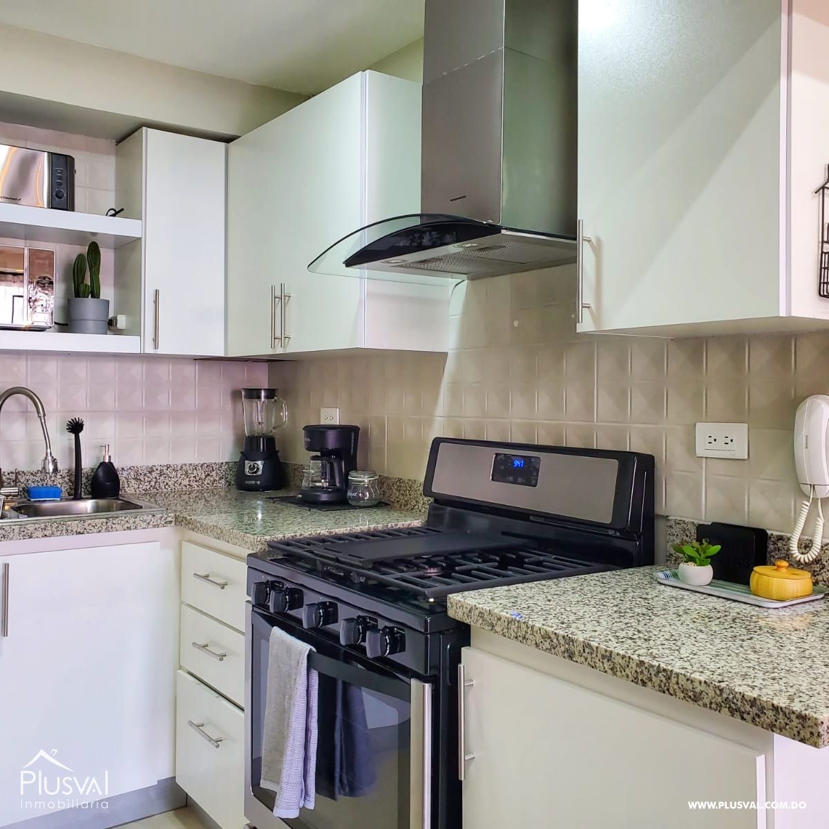 Apartamento en alquiler en Evaristo Morales 313036