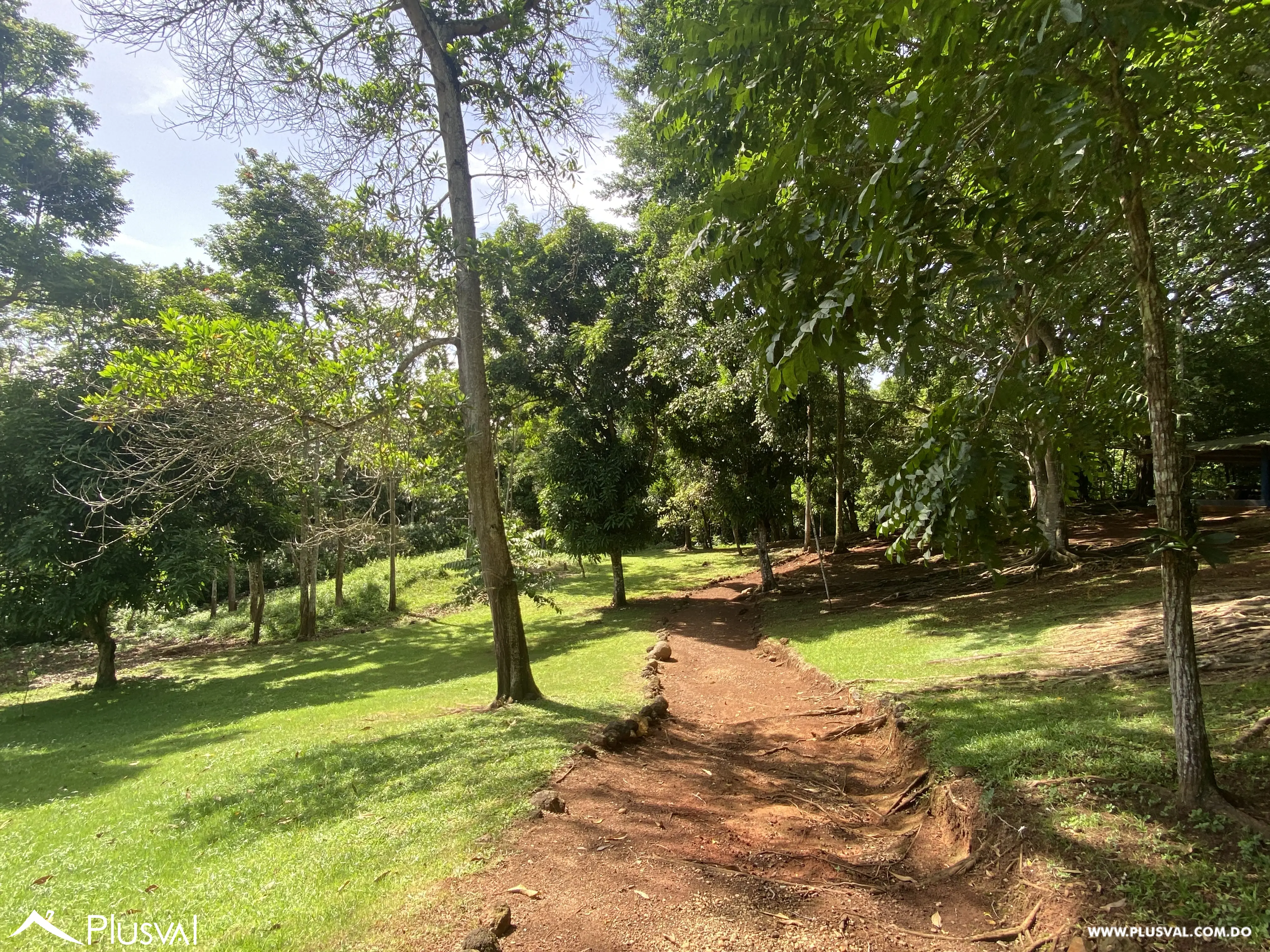 Finca de 106 tareas en Venta, Los Cocos | Pedro Brand 452068