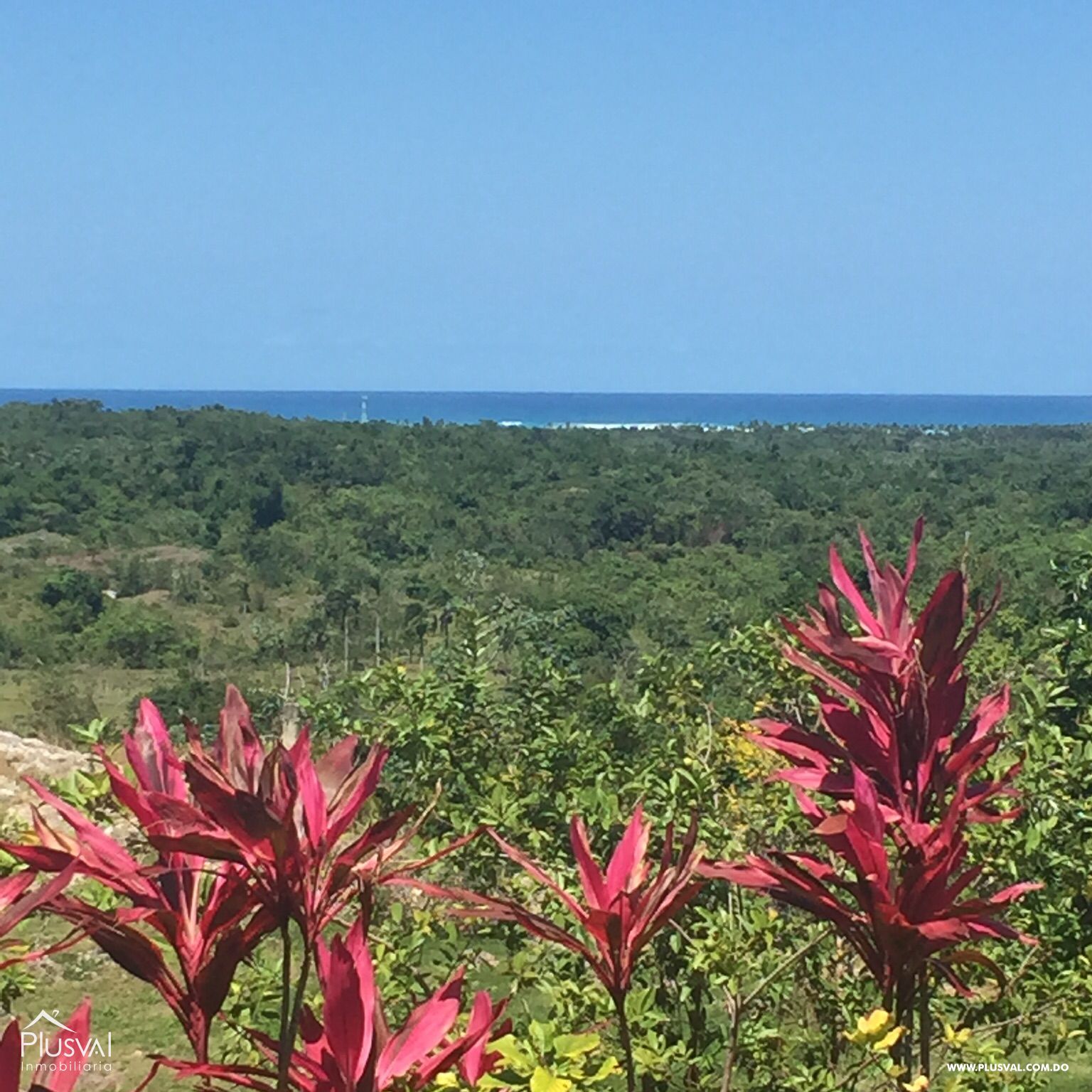 Venta de solar Las Galeras 307792