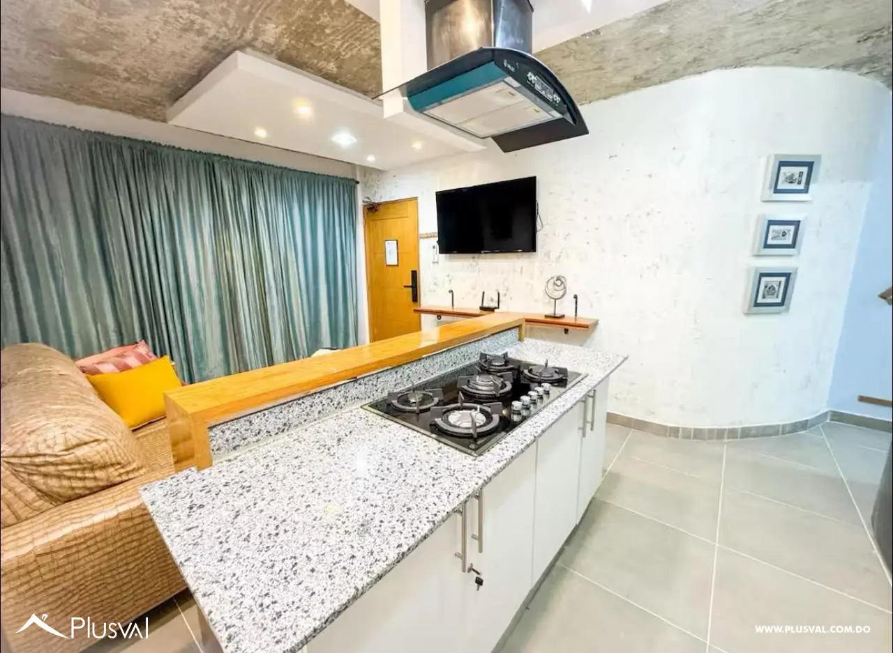 Apartamento para inversión de 2 habitaciones en zona colonial 493213