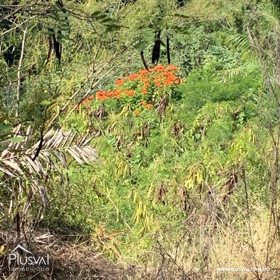 Finca de frutales en Yaguate, San Cristóbal 397851