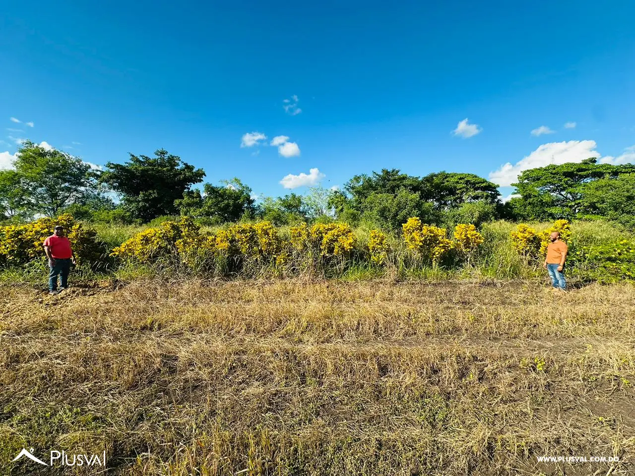 Residencial Las Trinitarias 474049