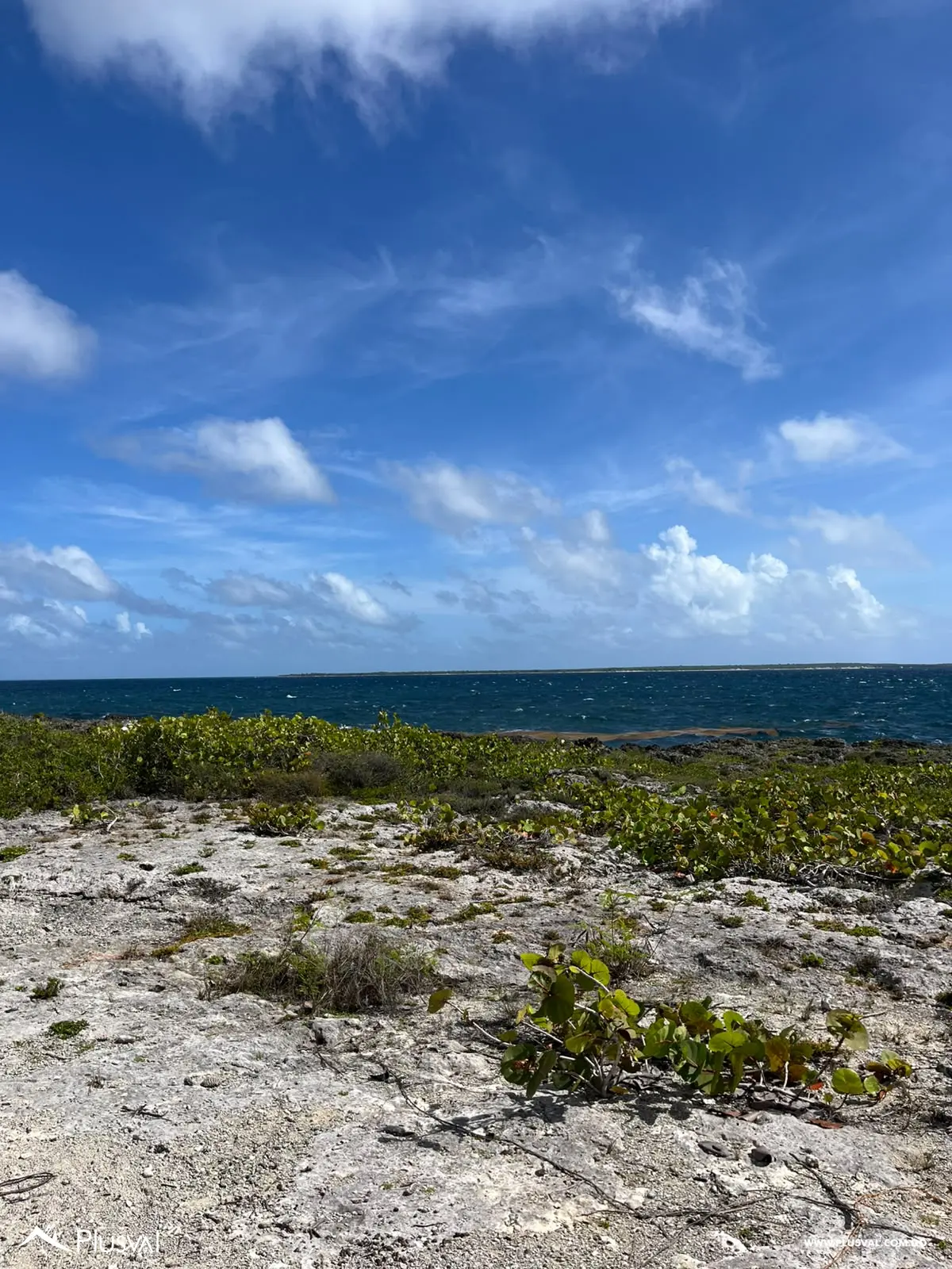 Terreno frente al mar con vistas privilegiadas a Isla Catalina 536722
