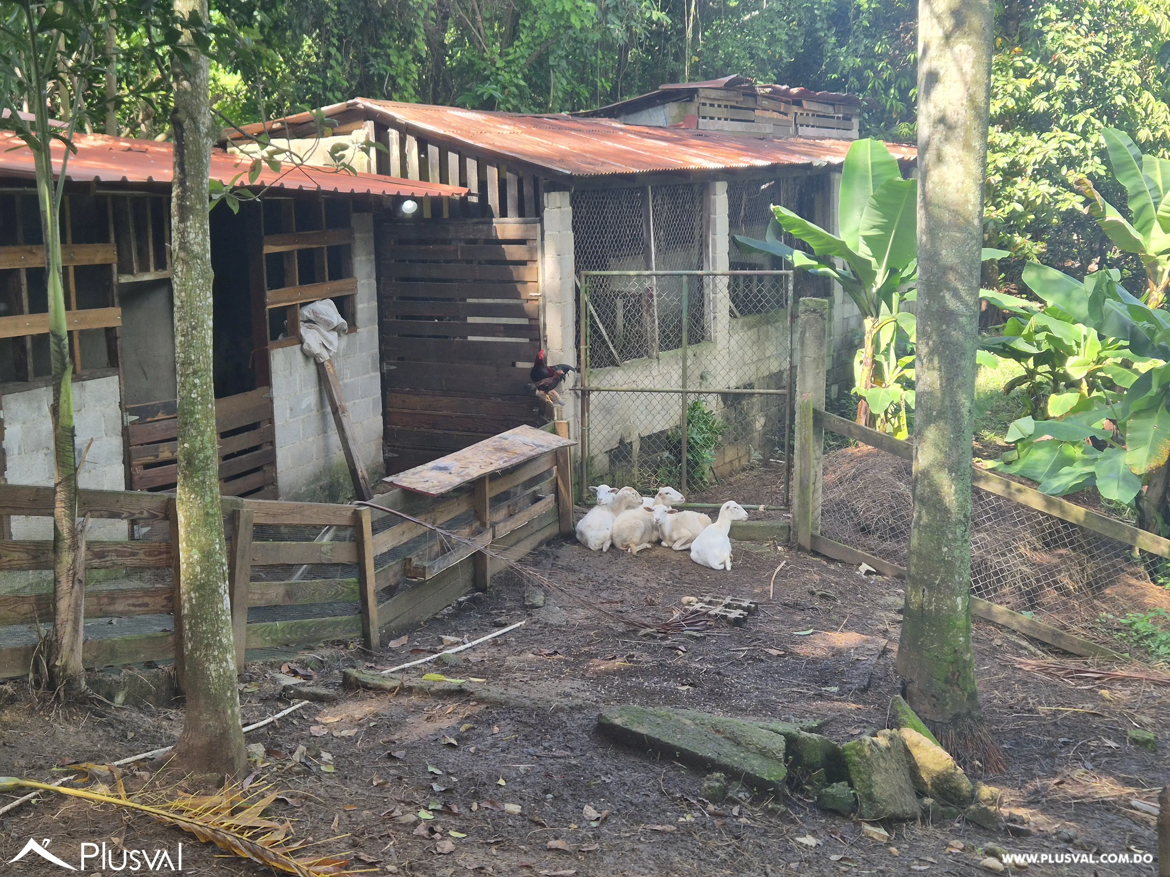 Finca en San Cristóbal 473326