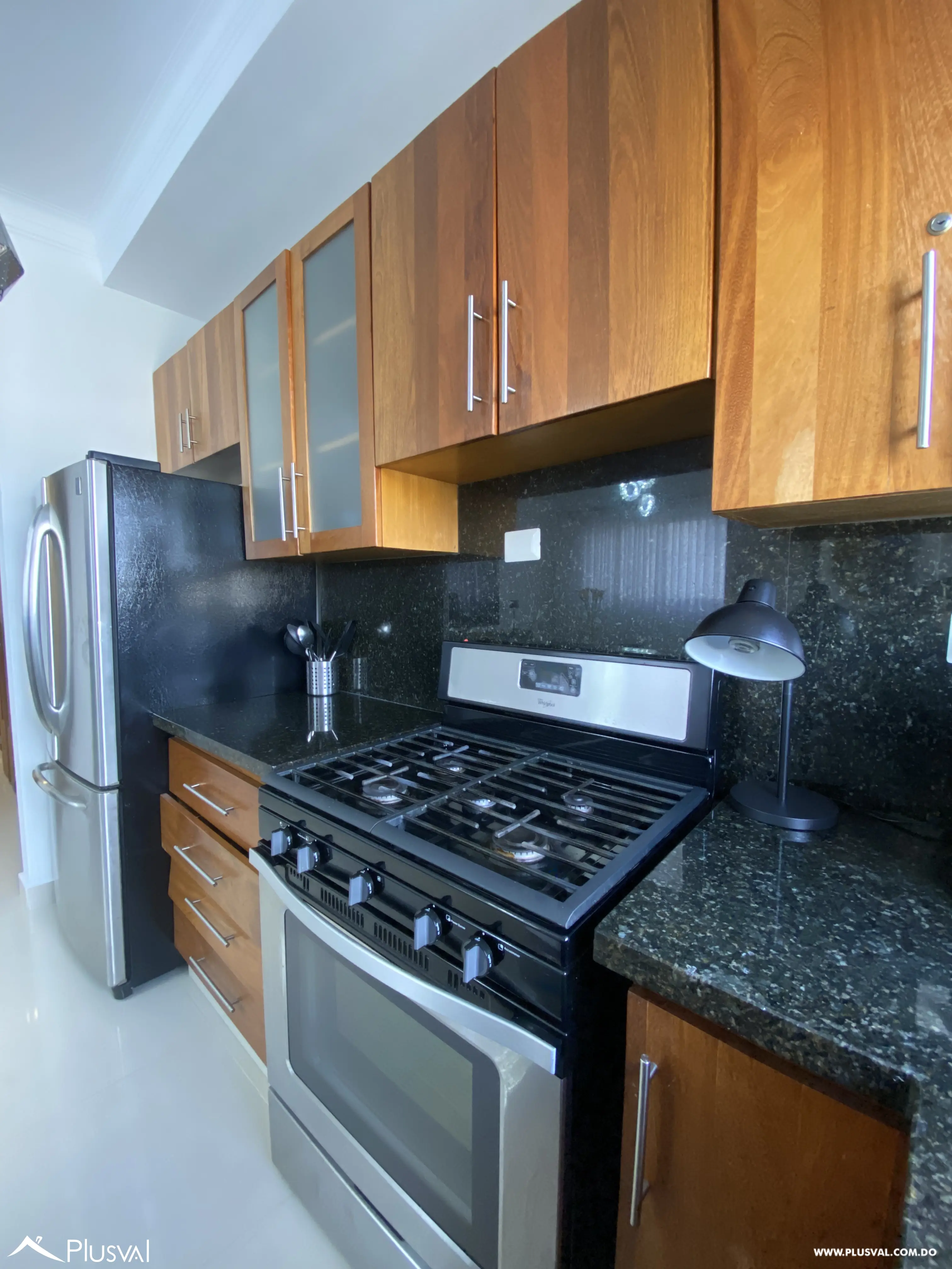 Apartamento Amueblado en alquiler en Piantini 521734