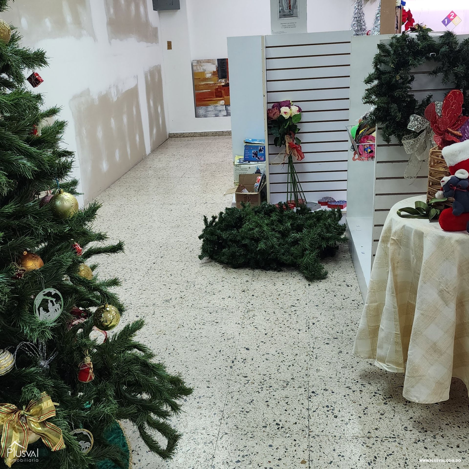 Local para Estafeta en Gazcue 399345