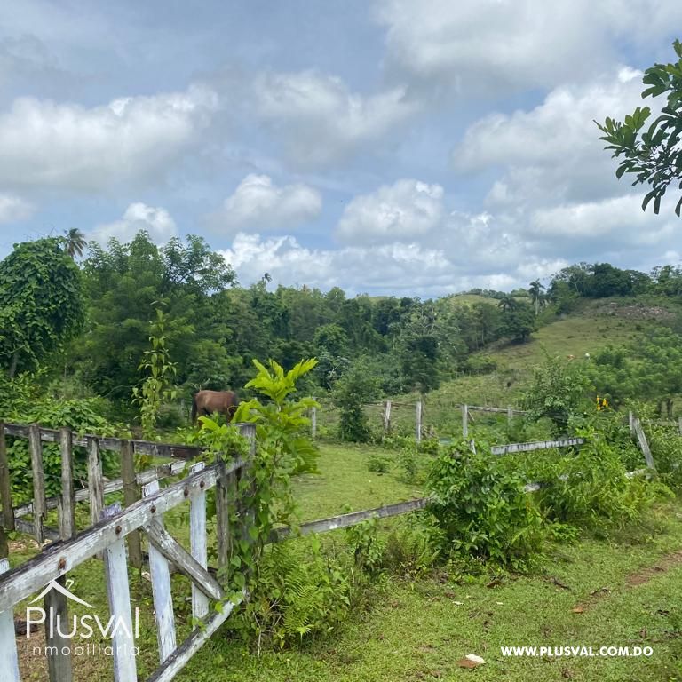 Terreno en Venta en Las Terrenas - Samaná | 190,930 m² Naturaleza y Altitud 313391