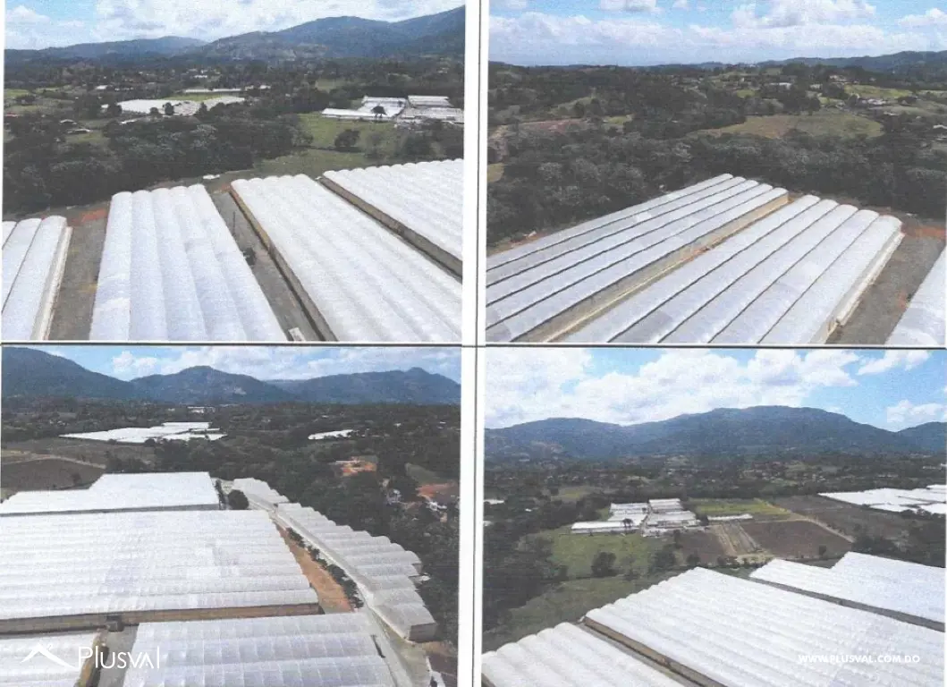 Finca en Venta en Camino Piedra Blanca- Jarabacoa 483298