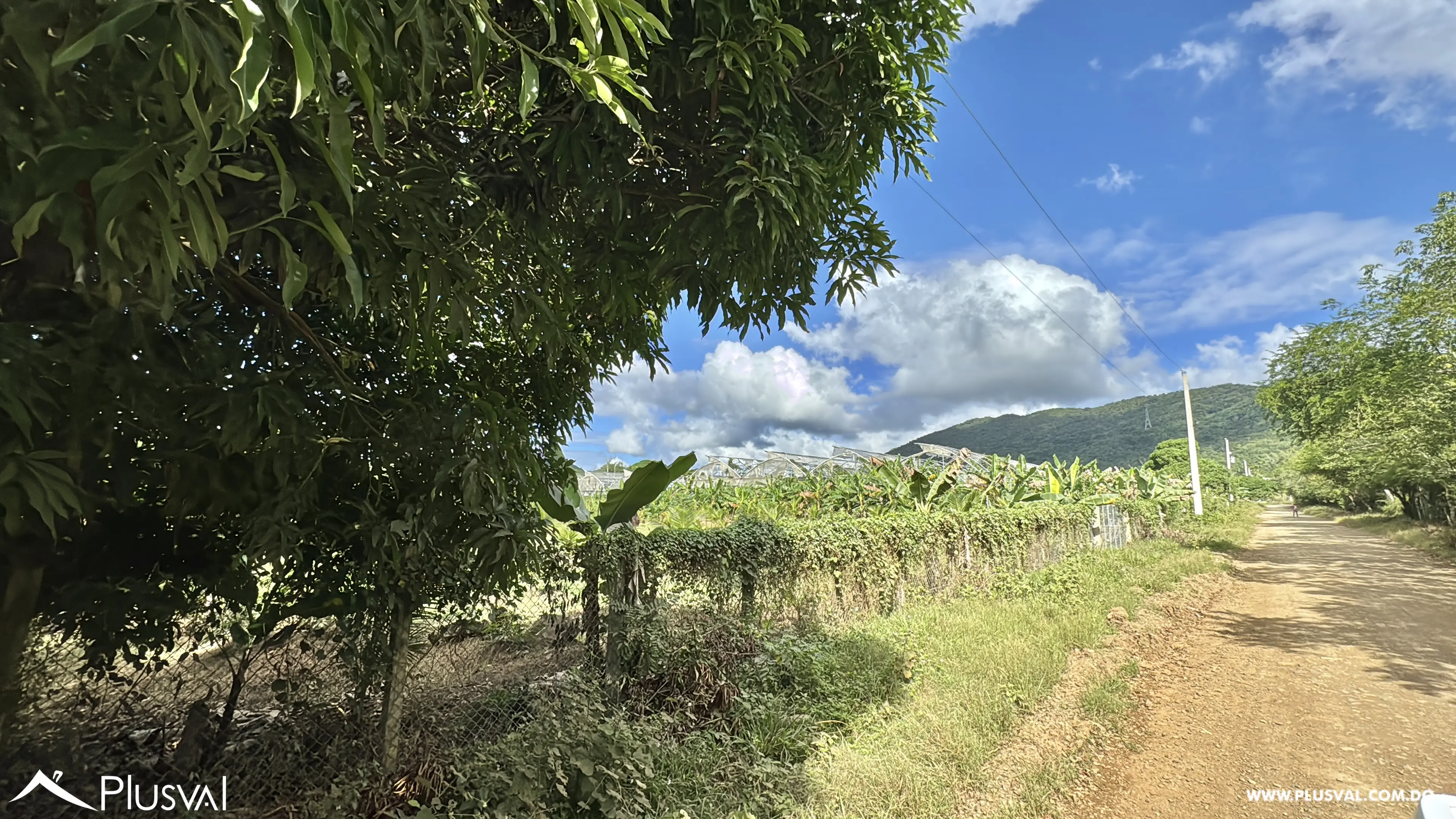 Vendo Maravillosa Finca con Importantes Mejoras en Pedro barnd 479761