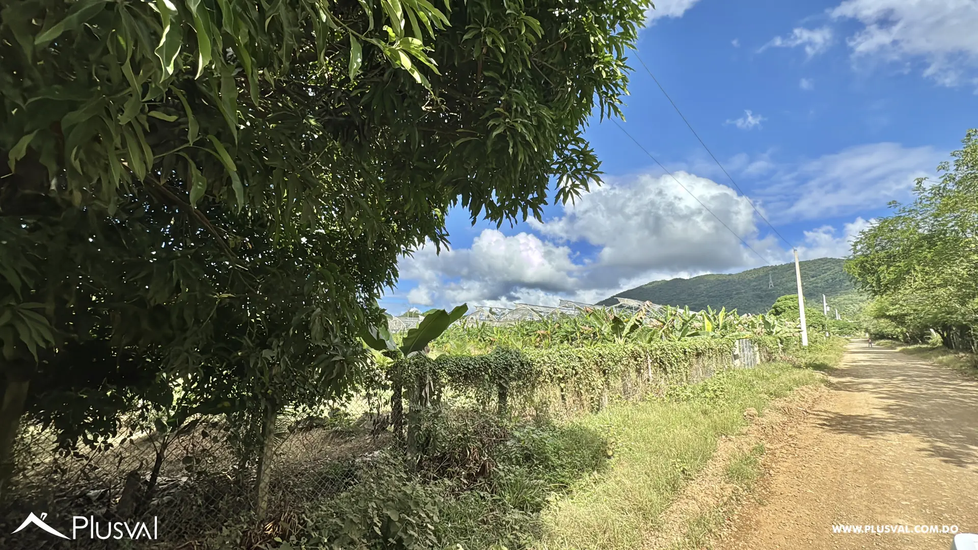 Vendo Maravillosa Finca con Importantes Mejoras en Pedro barnd 479761