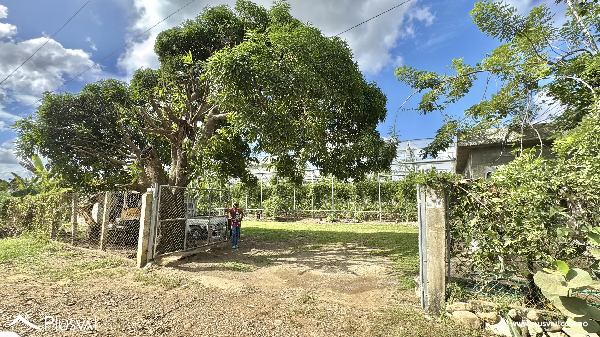 Vendo Maravillosa Finca con Importantes Mejoras en Pedro barnd 479755