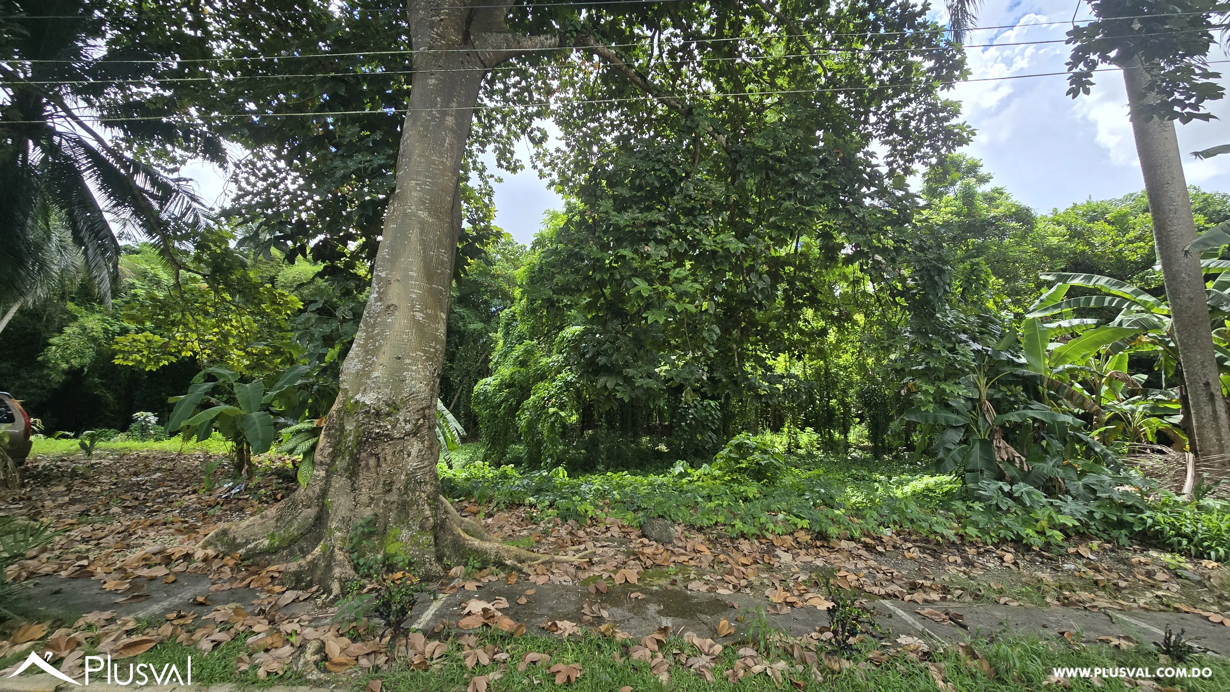 Solar de 35,846.73 en Venta, Arroyo Hondo 470481