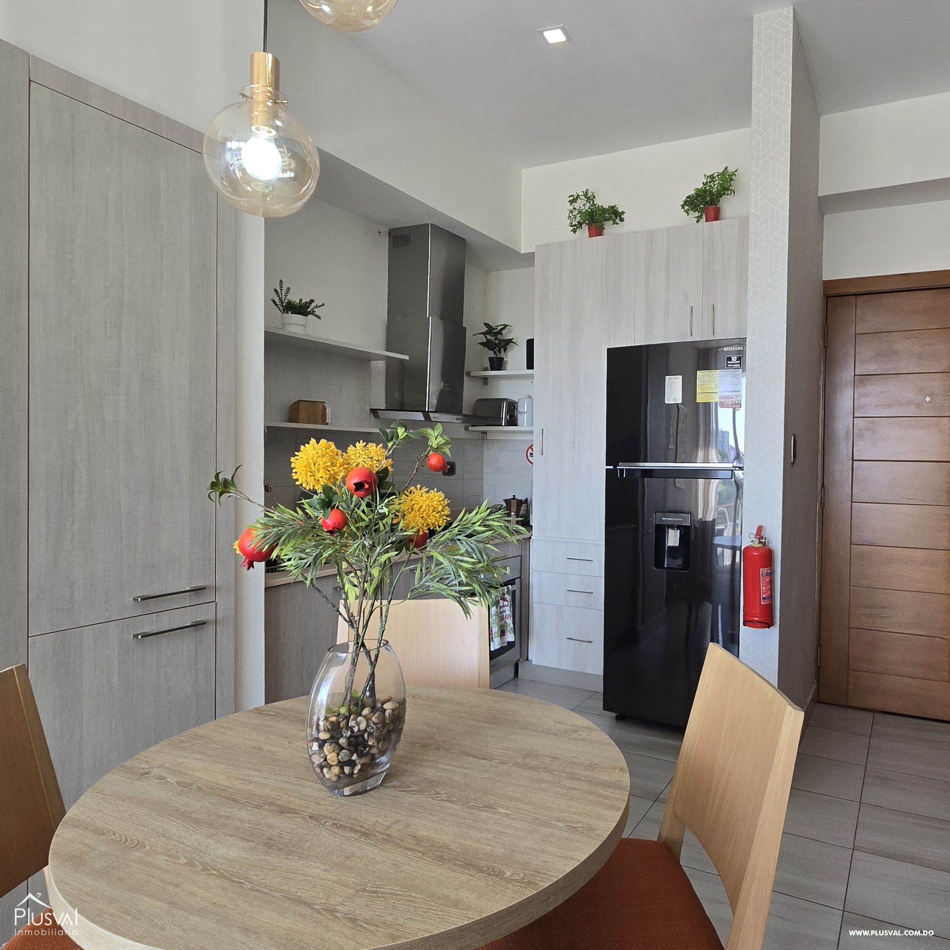 Apartamento amueblado en alquiler, Naco 400678