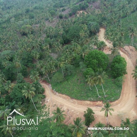 Terreno en Venta en La Pascuala de Samaná! 214521