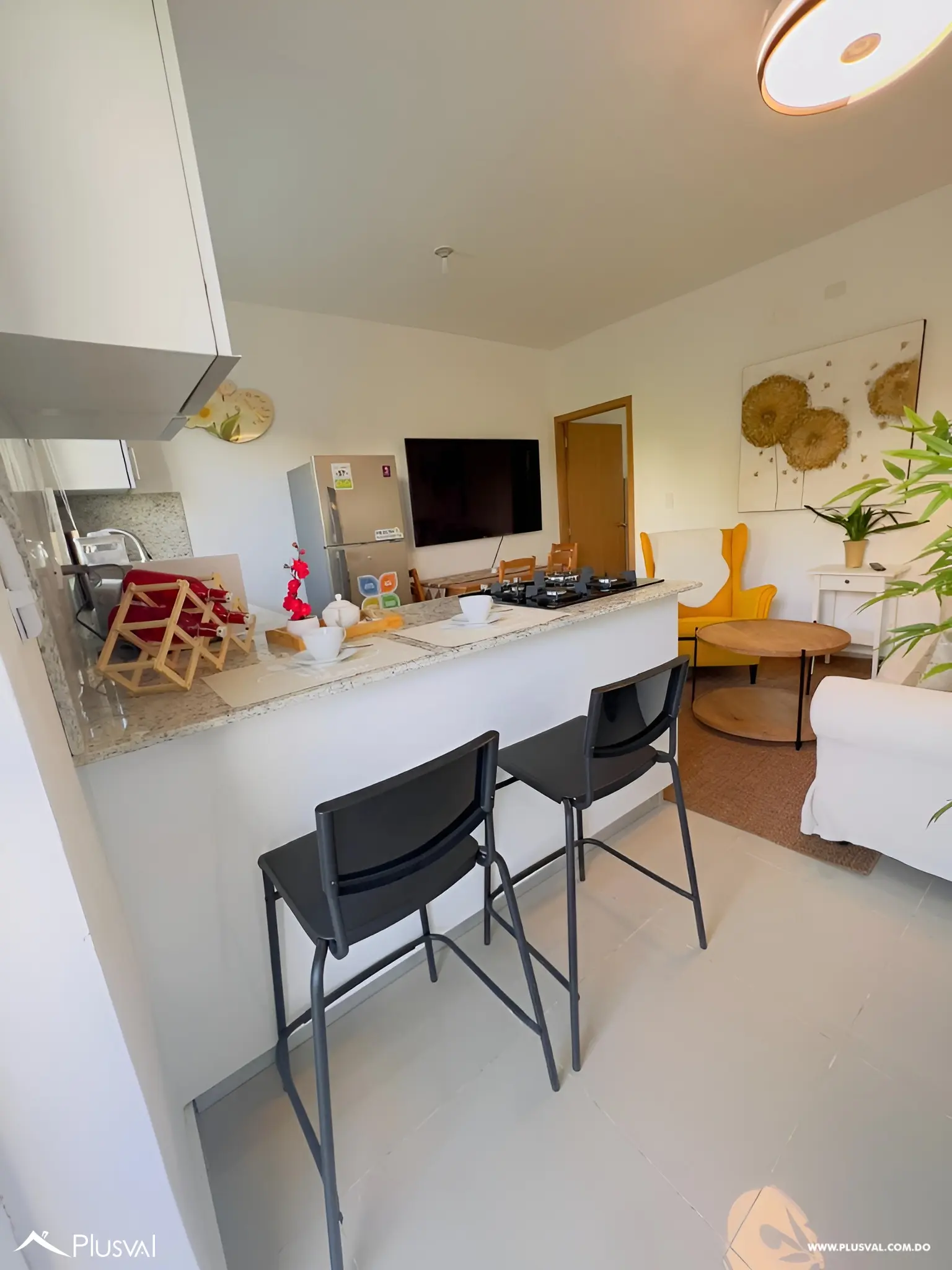 Punta del Este III 501097