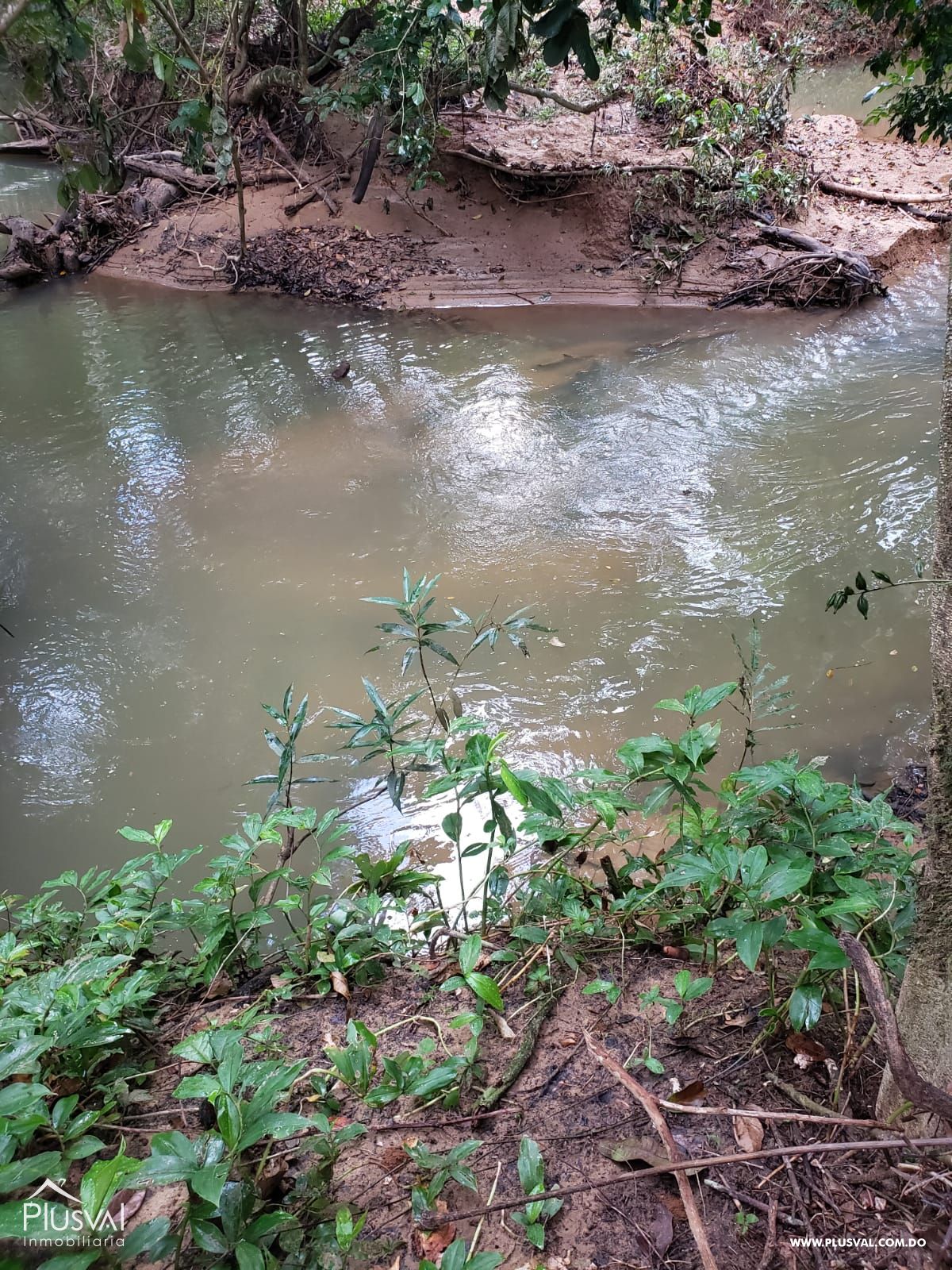 Terreno para hacienda en Monte Plata 464119