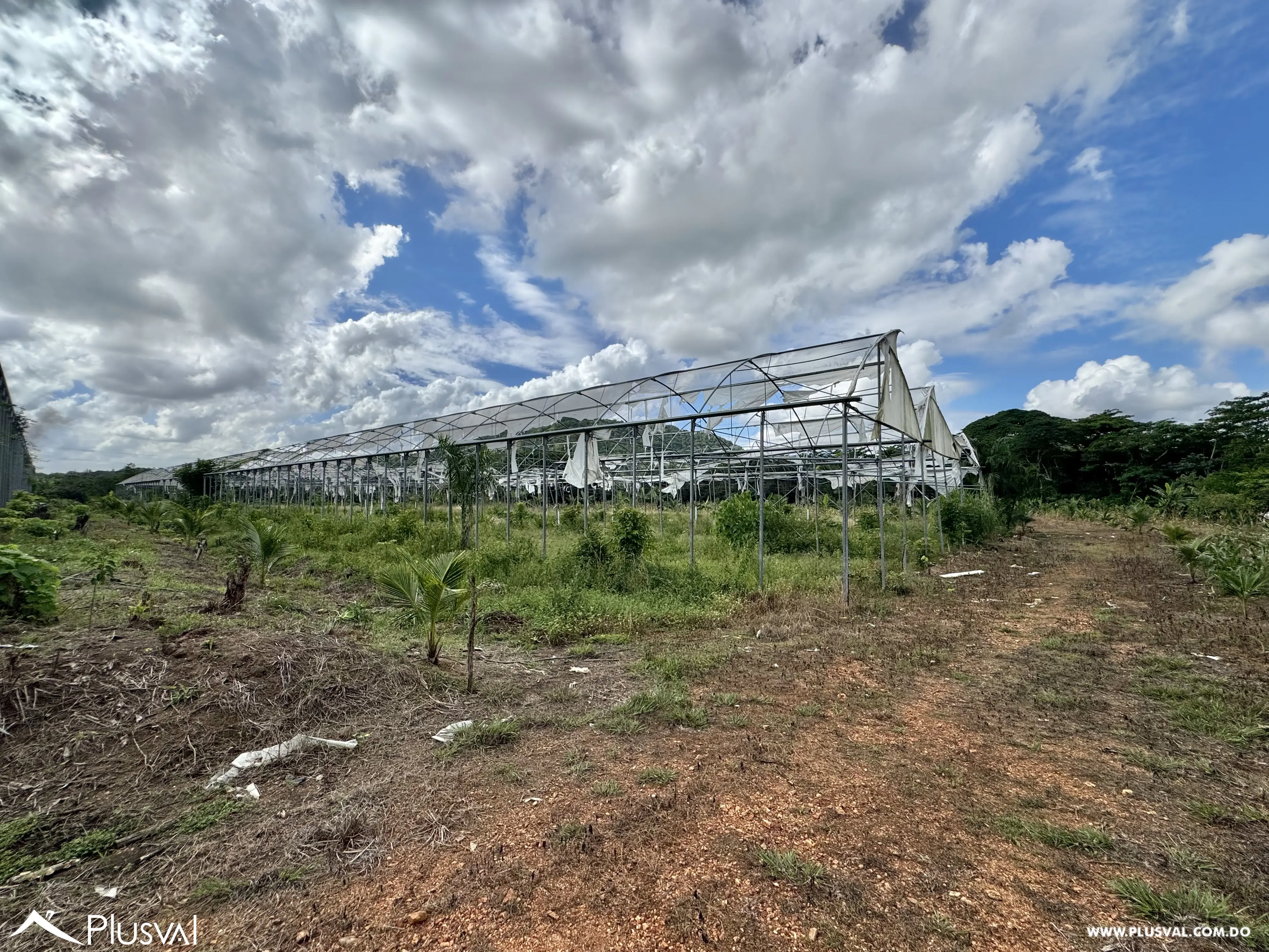 Vendo Maravillosa Finca con Importantes Mejoras en Pedro barnd 479775