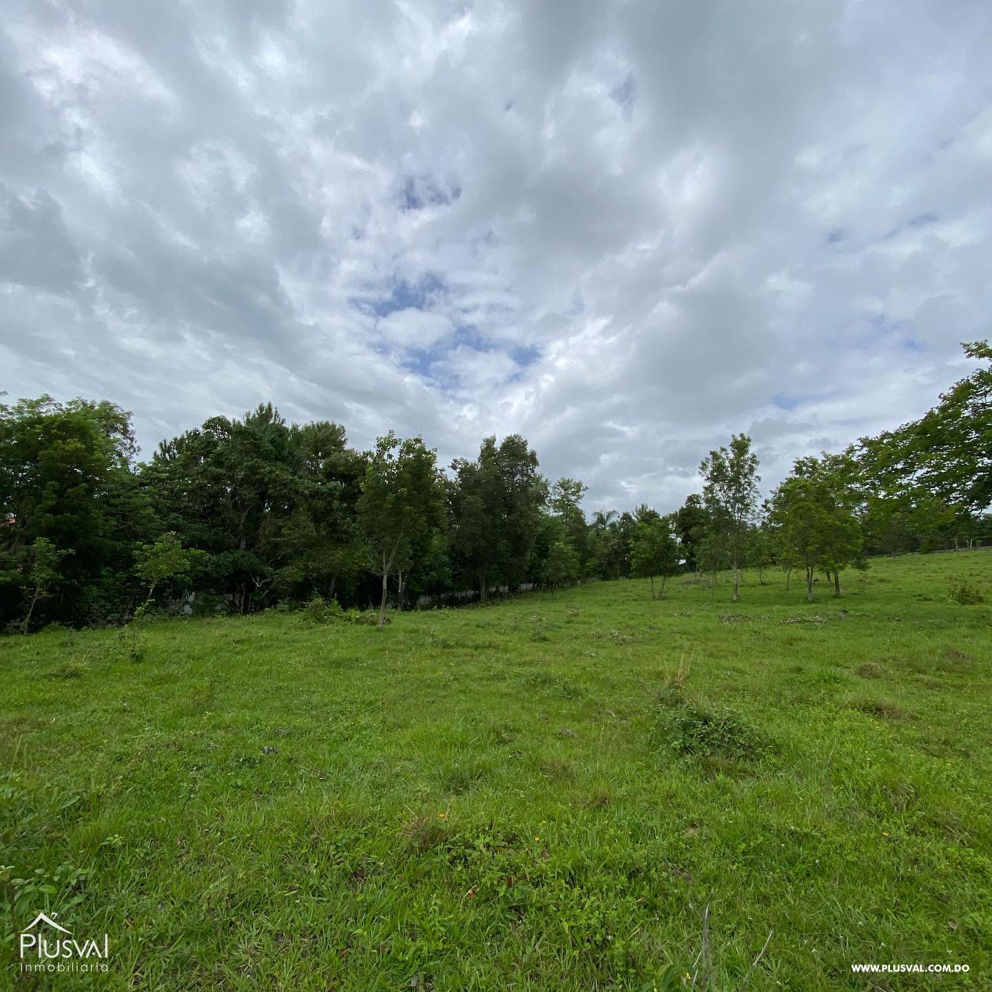 Exclusivo Lote en Pedro Brand 241026