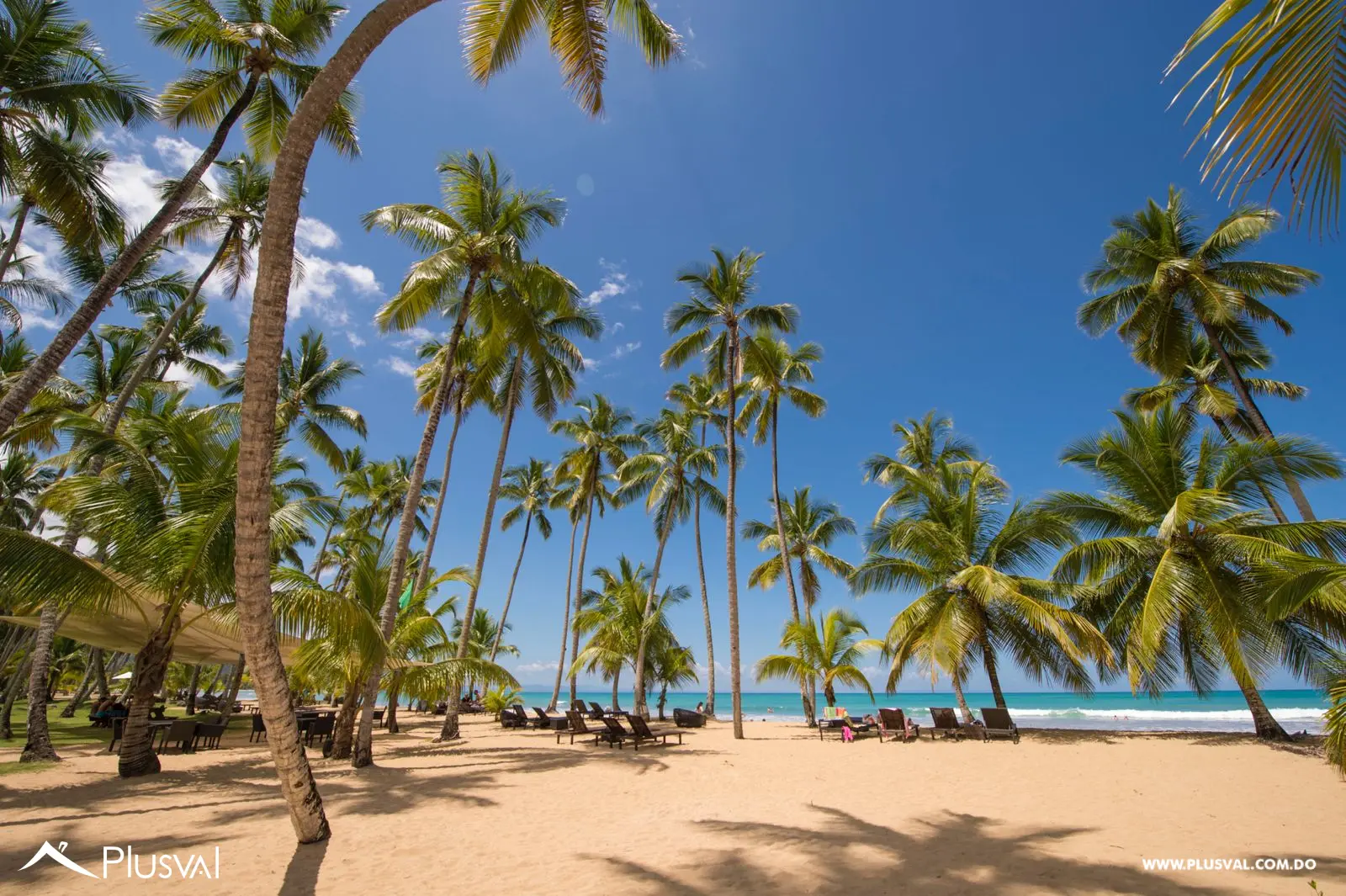 Hermoso apartamento con terraza en Coson en primera linea de playa 482398