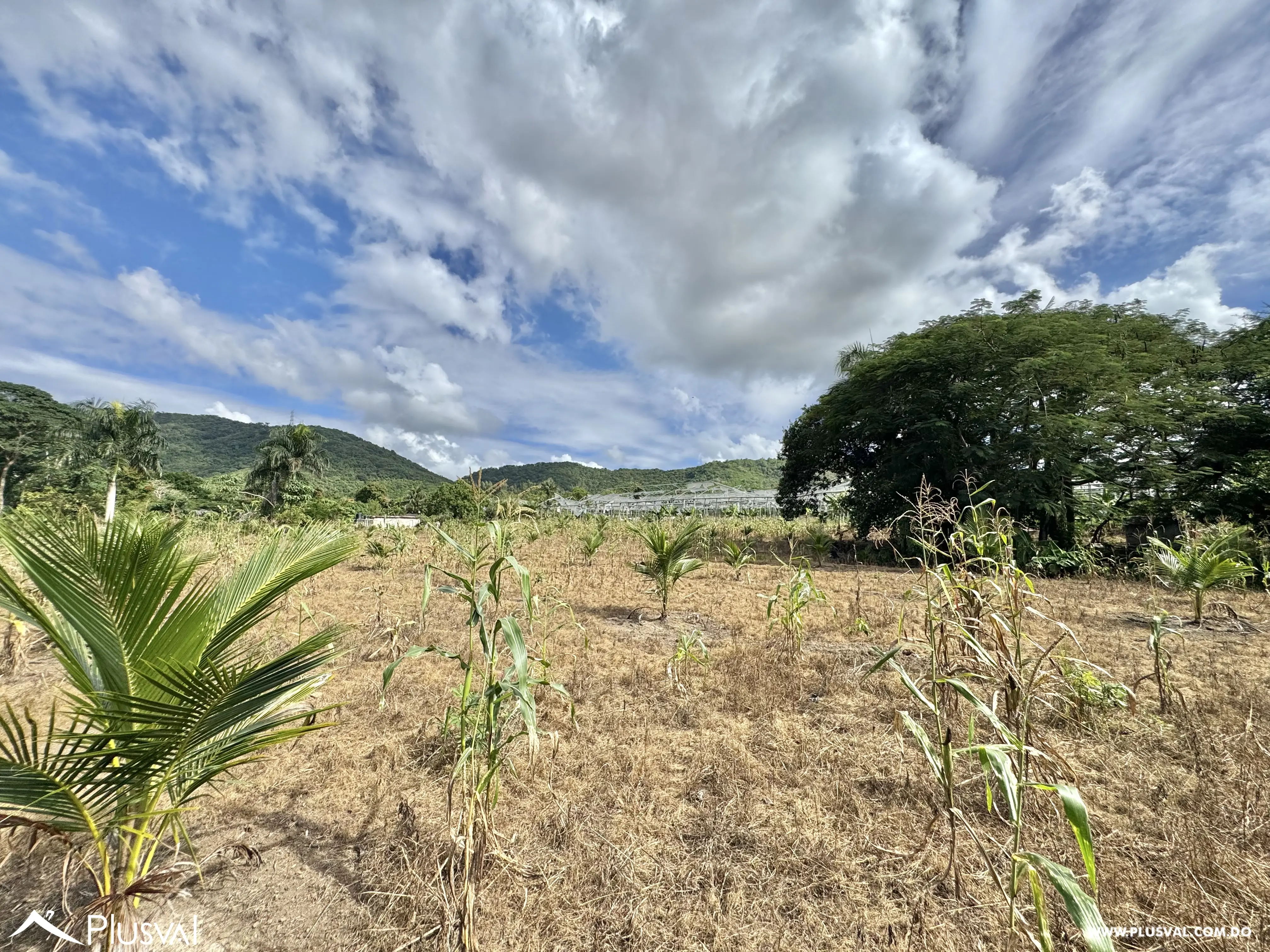 Vendo Maravillosa Finca con Importantes Mejoras en Pedro barnd 479782