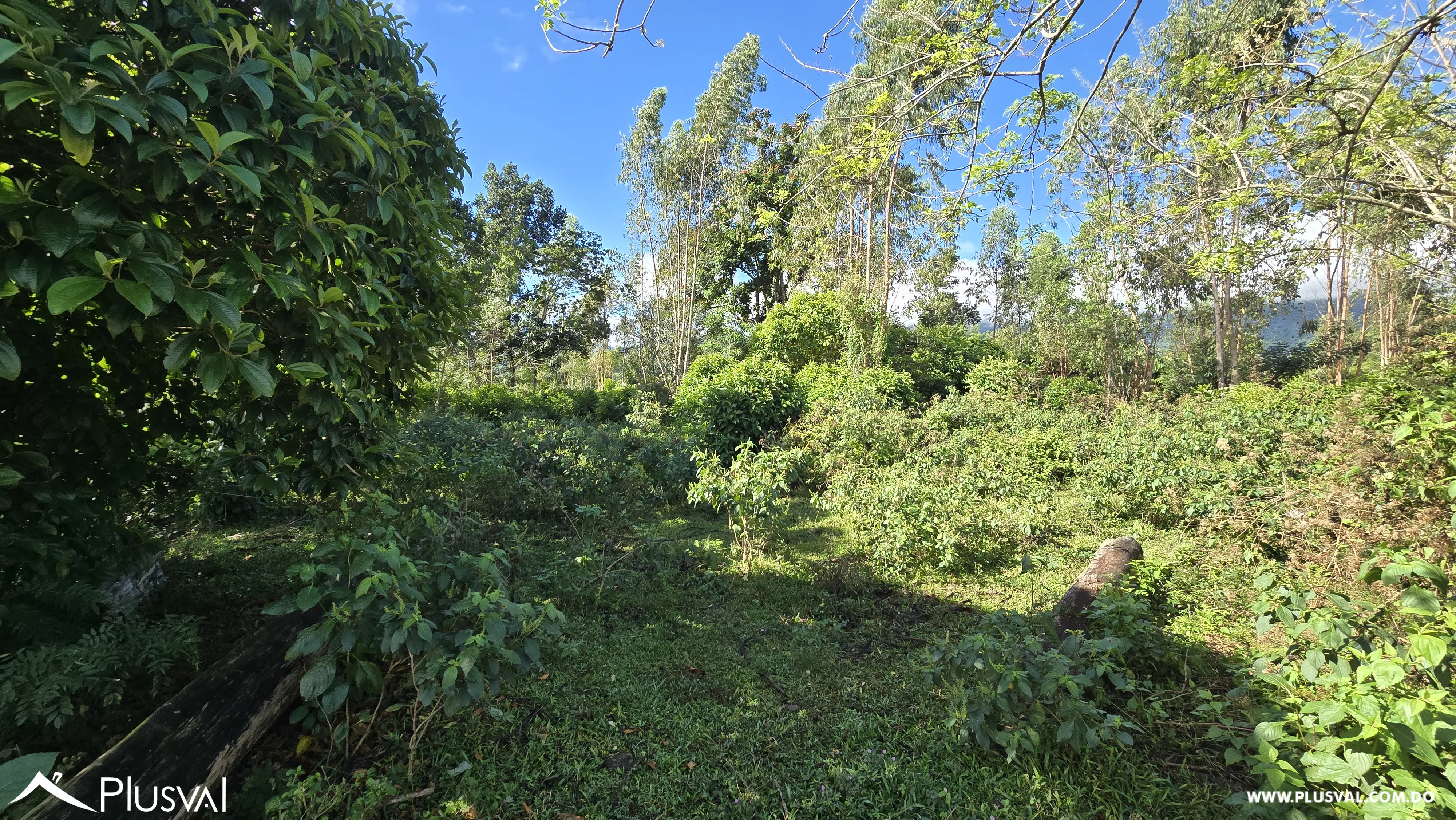 Buscas Solar para construir y cultivar a tan solo 25 minutos de la ciudad, este solar puede ser tuyo 485606