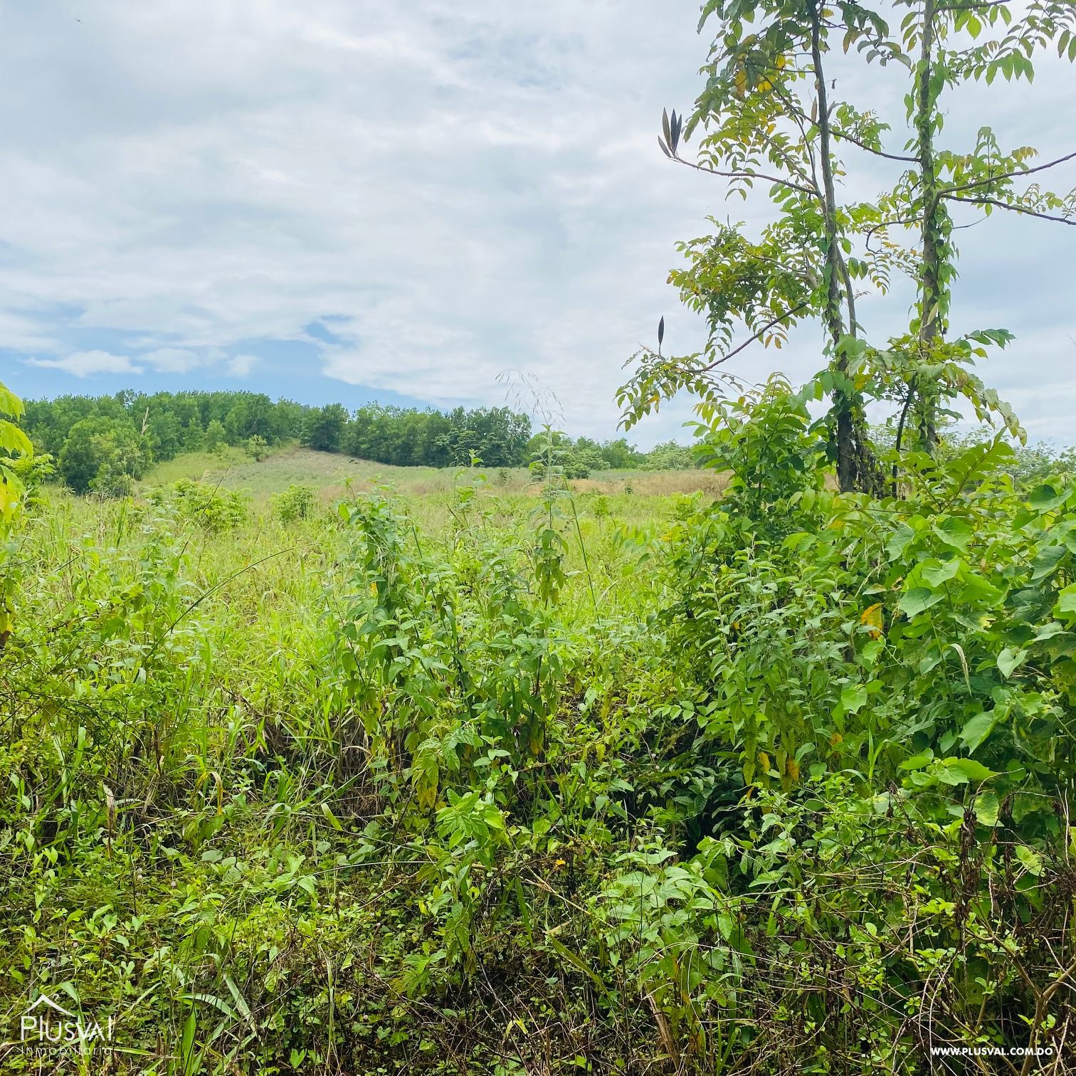 Venta de Finca Agrícola y Minera en Cotuí 232856