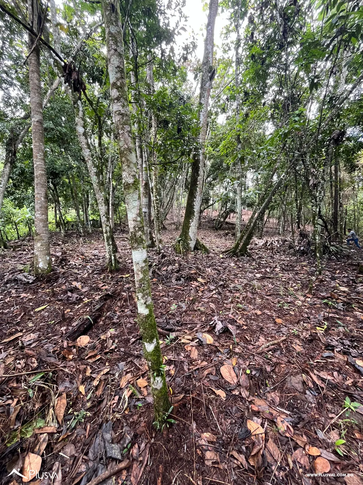 Solar a la venta - Tu refugio natural en Jarabacoa 496447