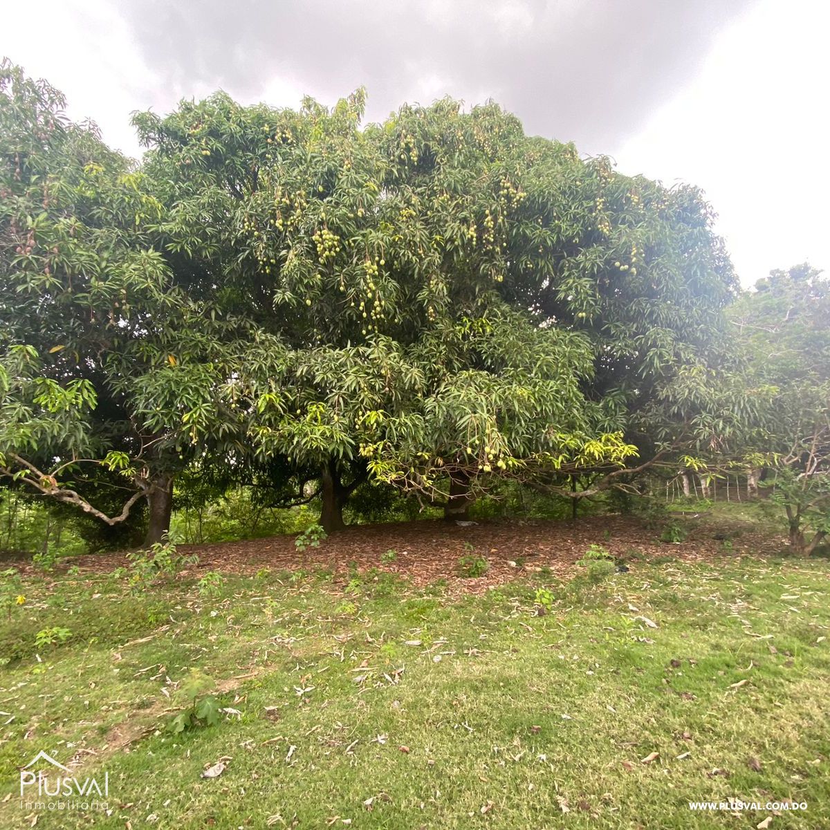 Finca con nave industrial en venta, en  San Cristóbal. 213532