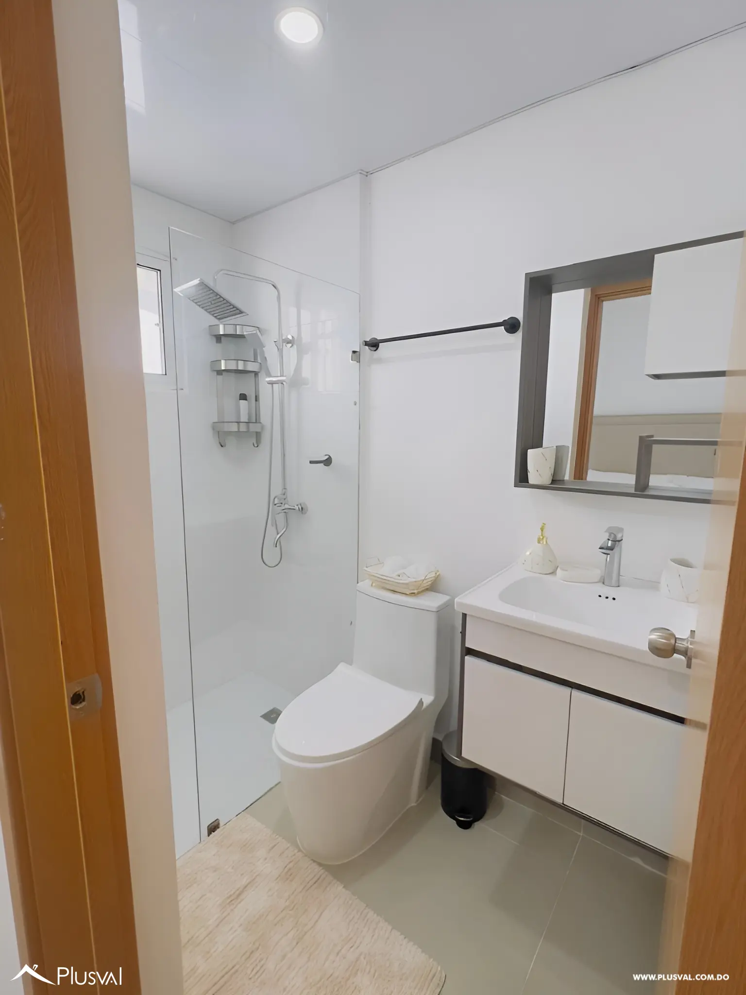 Punta del Este III 501141