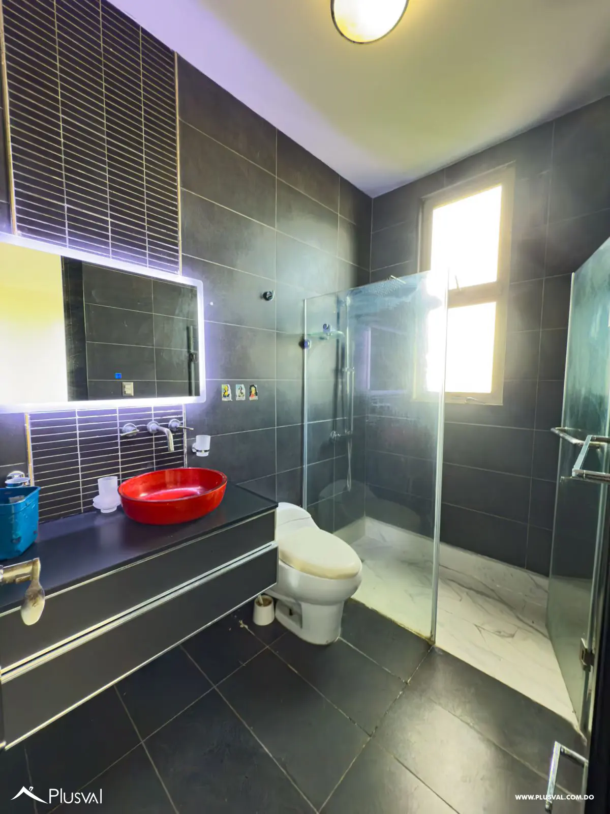 Penthouse Exclusivo en alquiler con Piscina Privada y Terraza en La Esperilla 458910