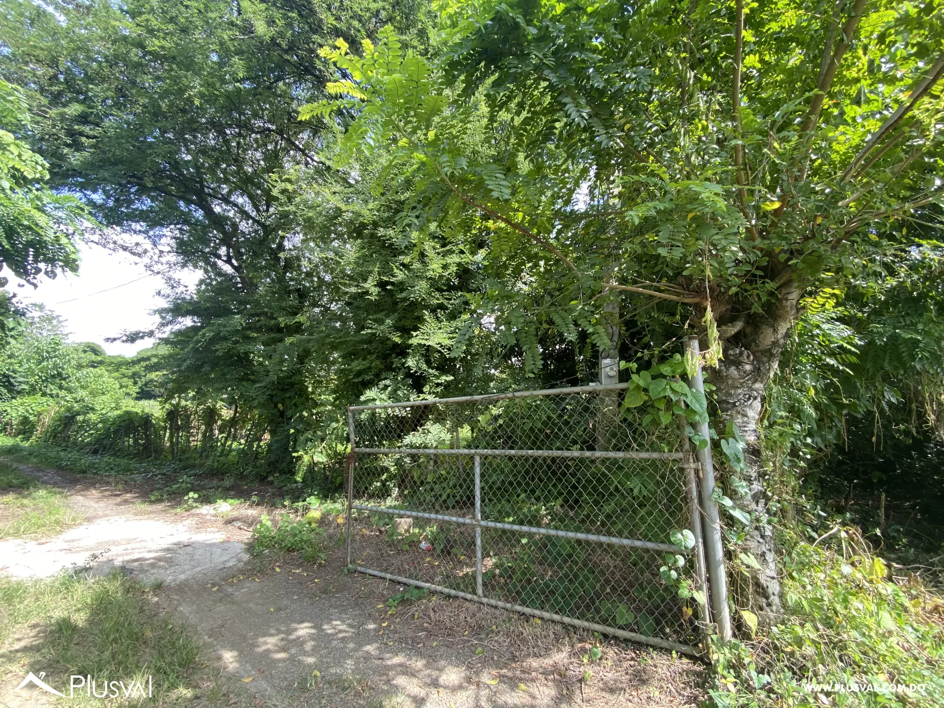 Vendo Excelente Solar en Pedro Brand 454458