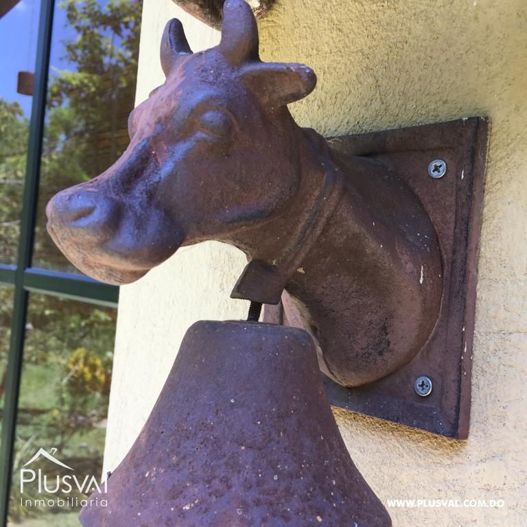 Finca en venta en Pedro Brand 315909
