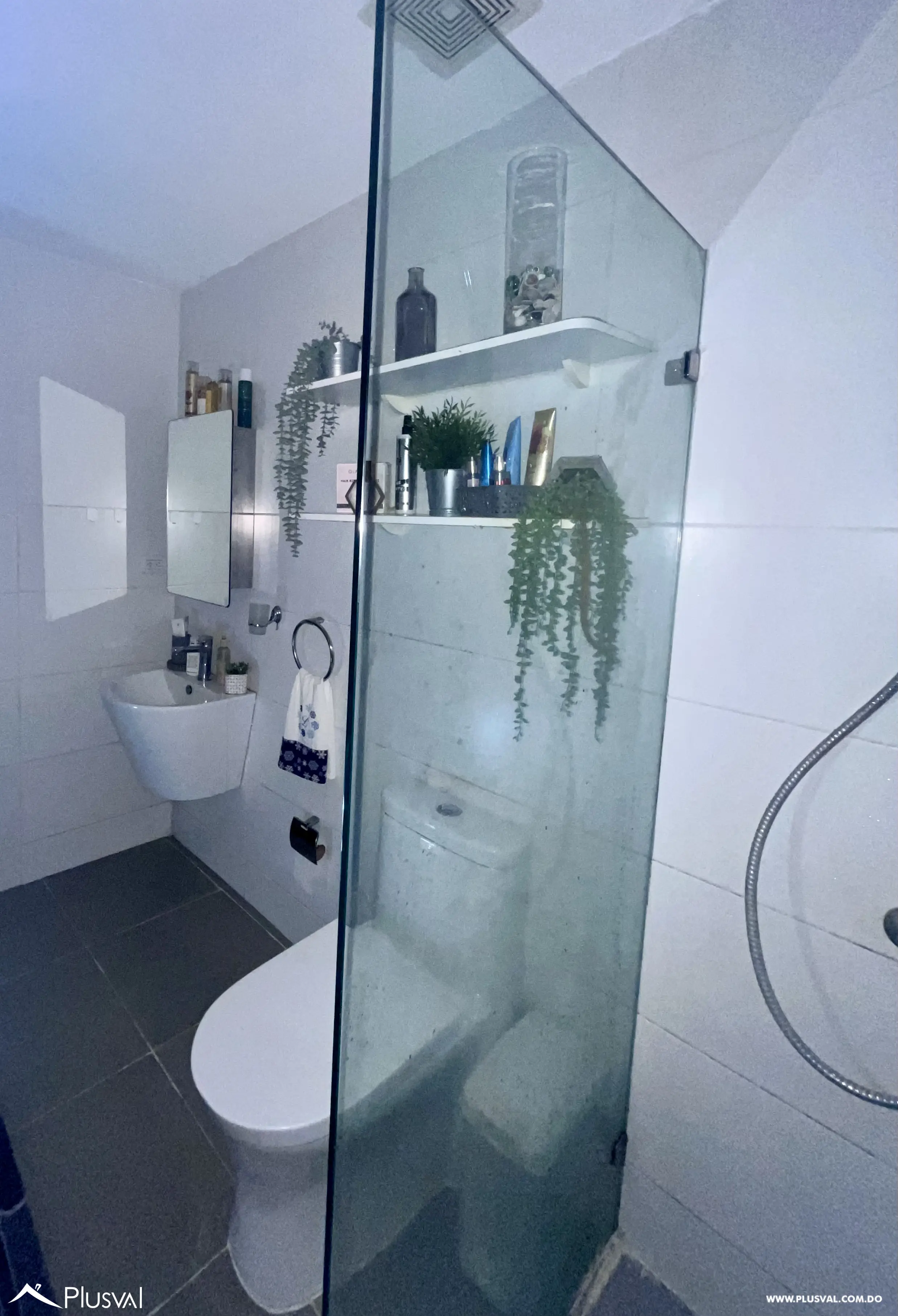 Amplio Apartamento en venta semi-amueblado de 1 habitación en Arroyo Hondo Viejo 495357