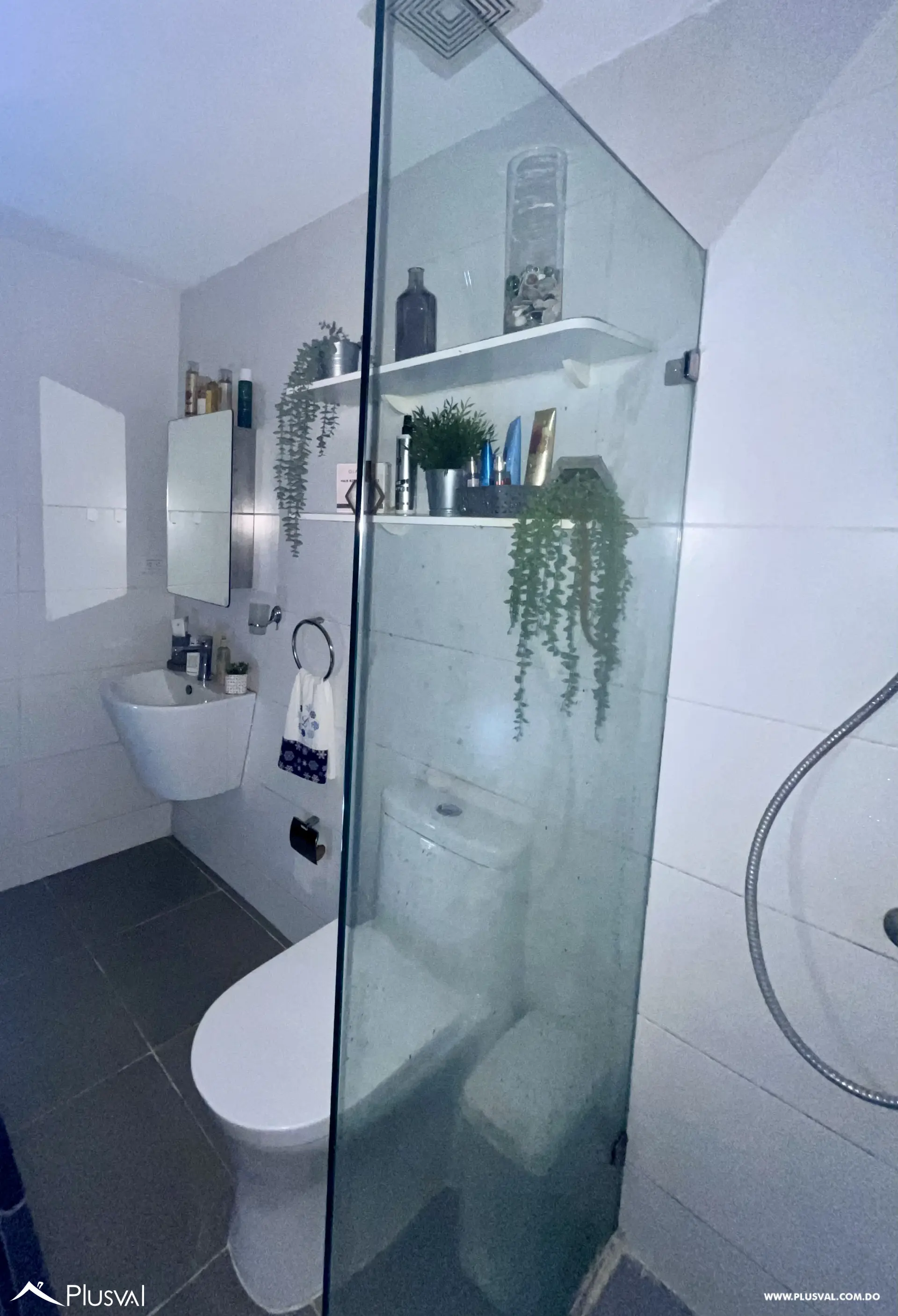 Amplio Apartamento en venta semi-amueblado de 1 habitación en Arroyo Hondo Viejo 495357