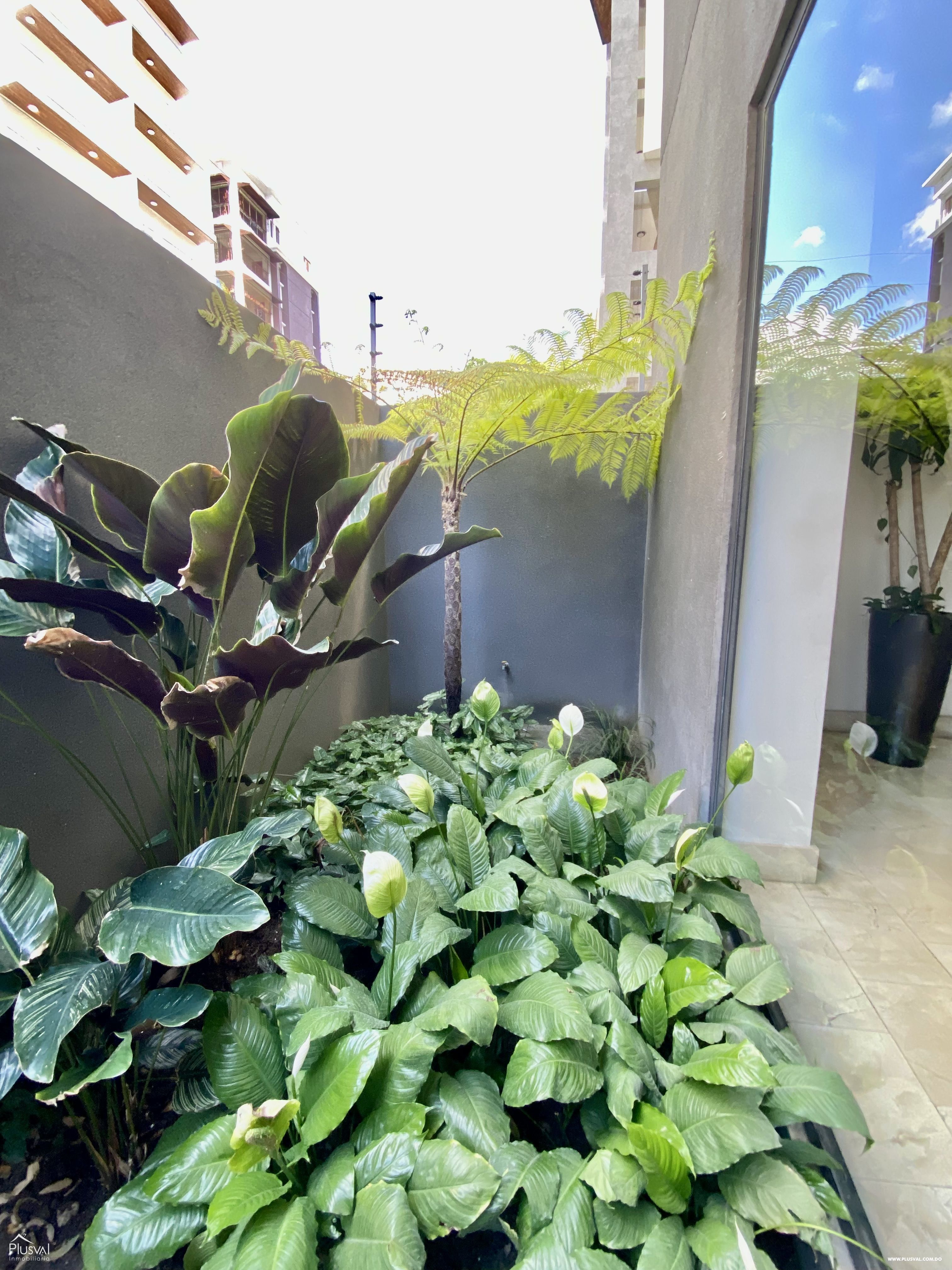 Apartamento en venta en Naco, piso 10 273231