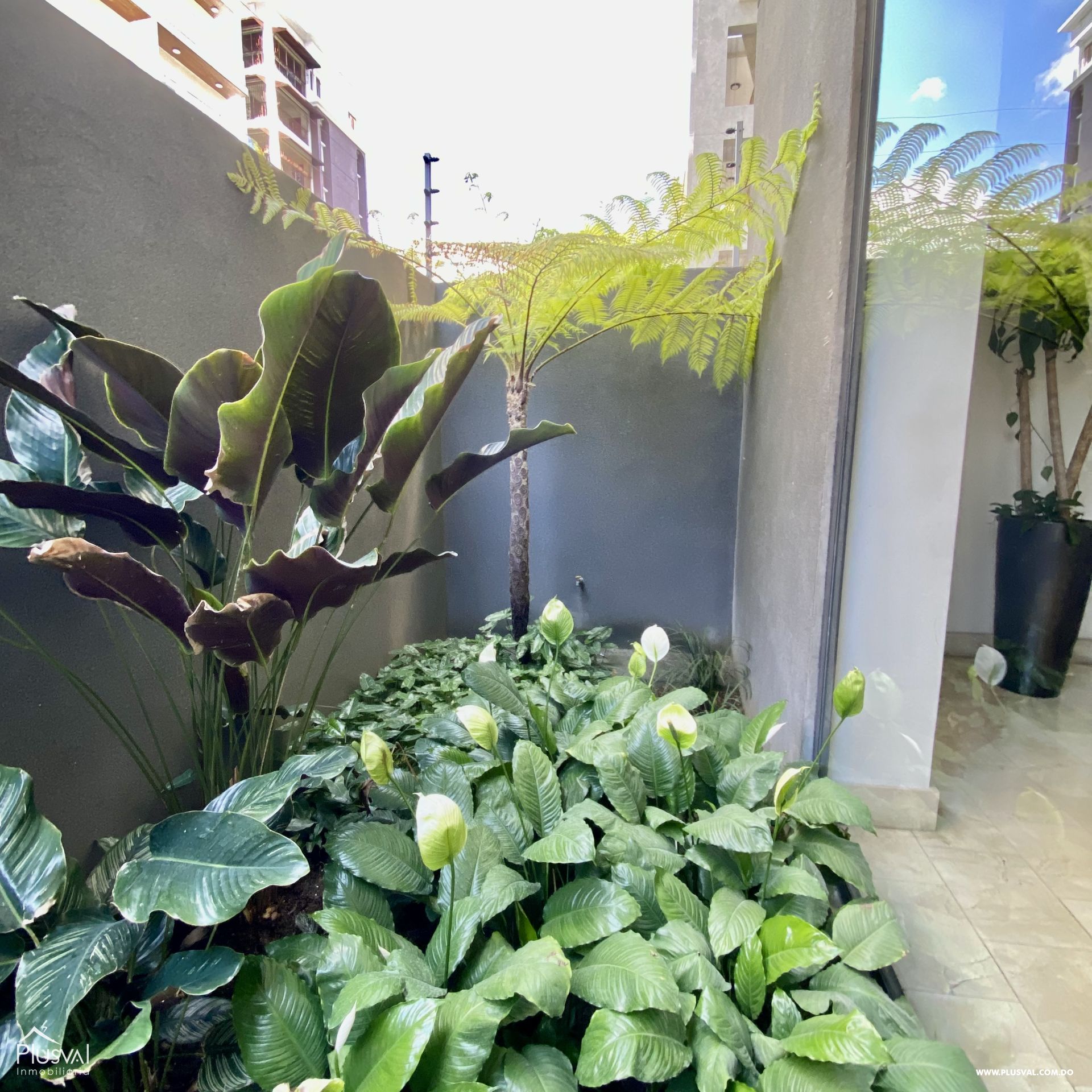 Apartamento en venta en Naco, piso 10 273231