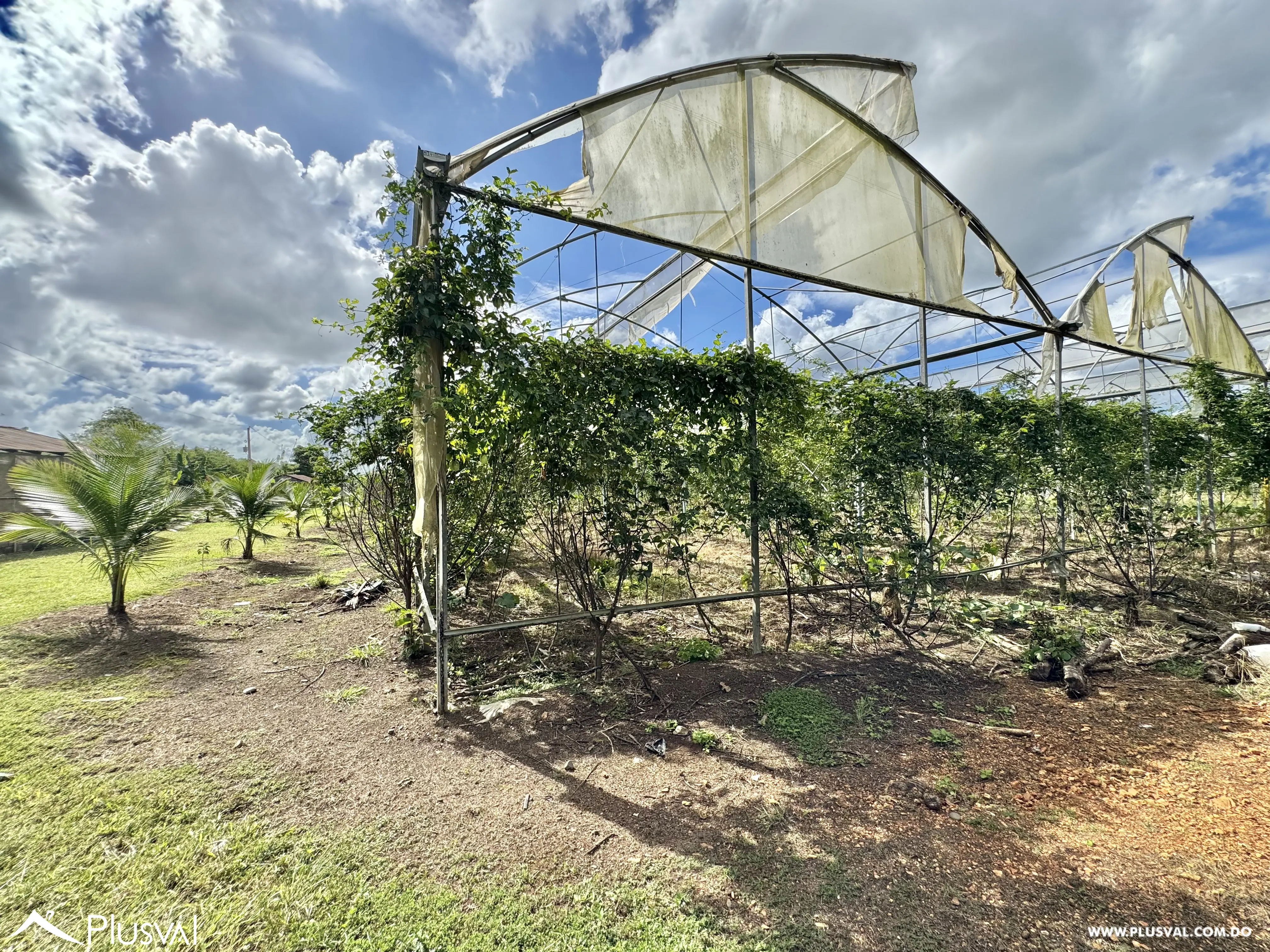 Vendo Maravillosa Finca con Importantes Mejoras en Pedro barnd 479770