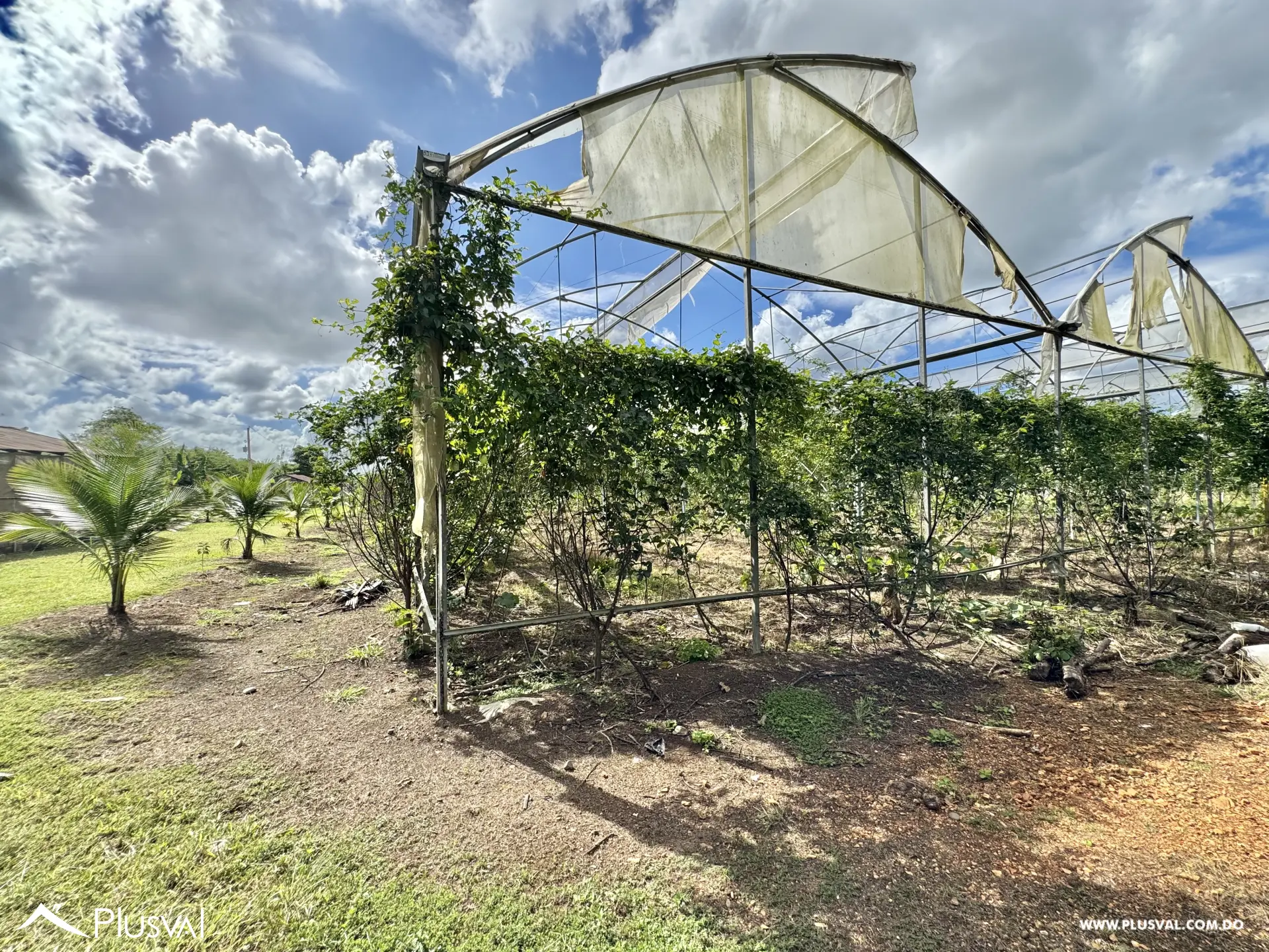 Vendo Maravillosa Finca con Importantes Mejoras en Pedro barnd 479770