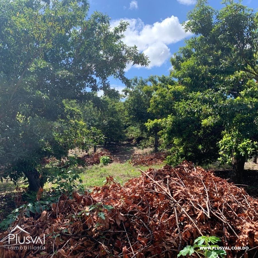 Finca de frutales en Yaguate, San Cristóbal 397847