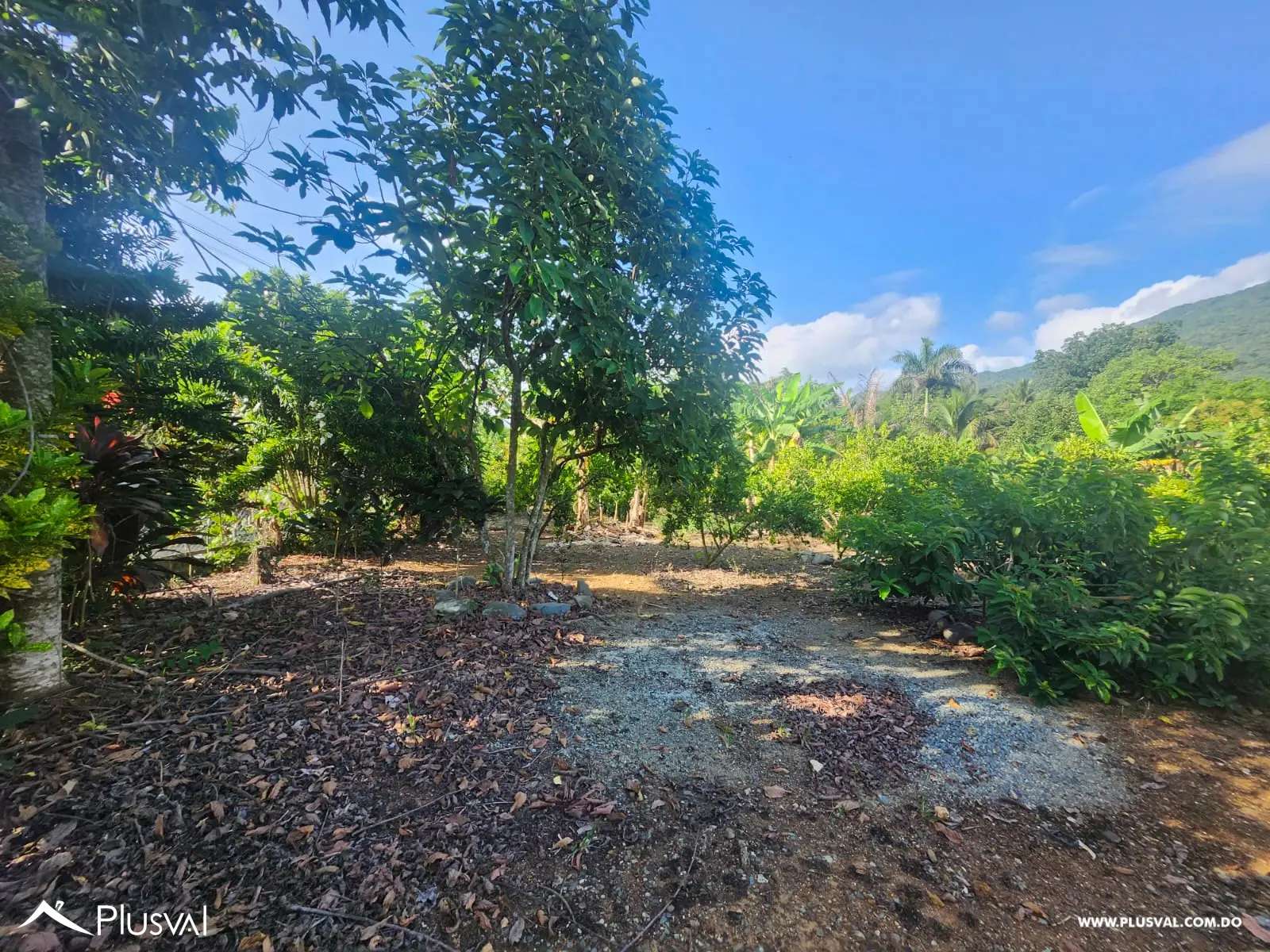 Vendo Excelente Finca en Rancho Los Mogotes- Villa Altagracia 522588