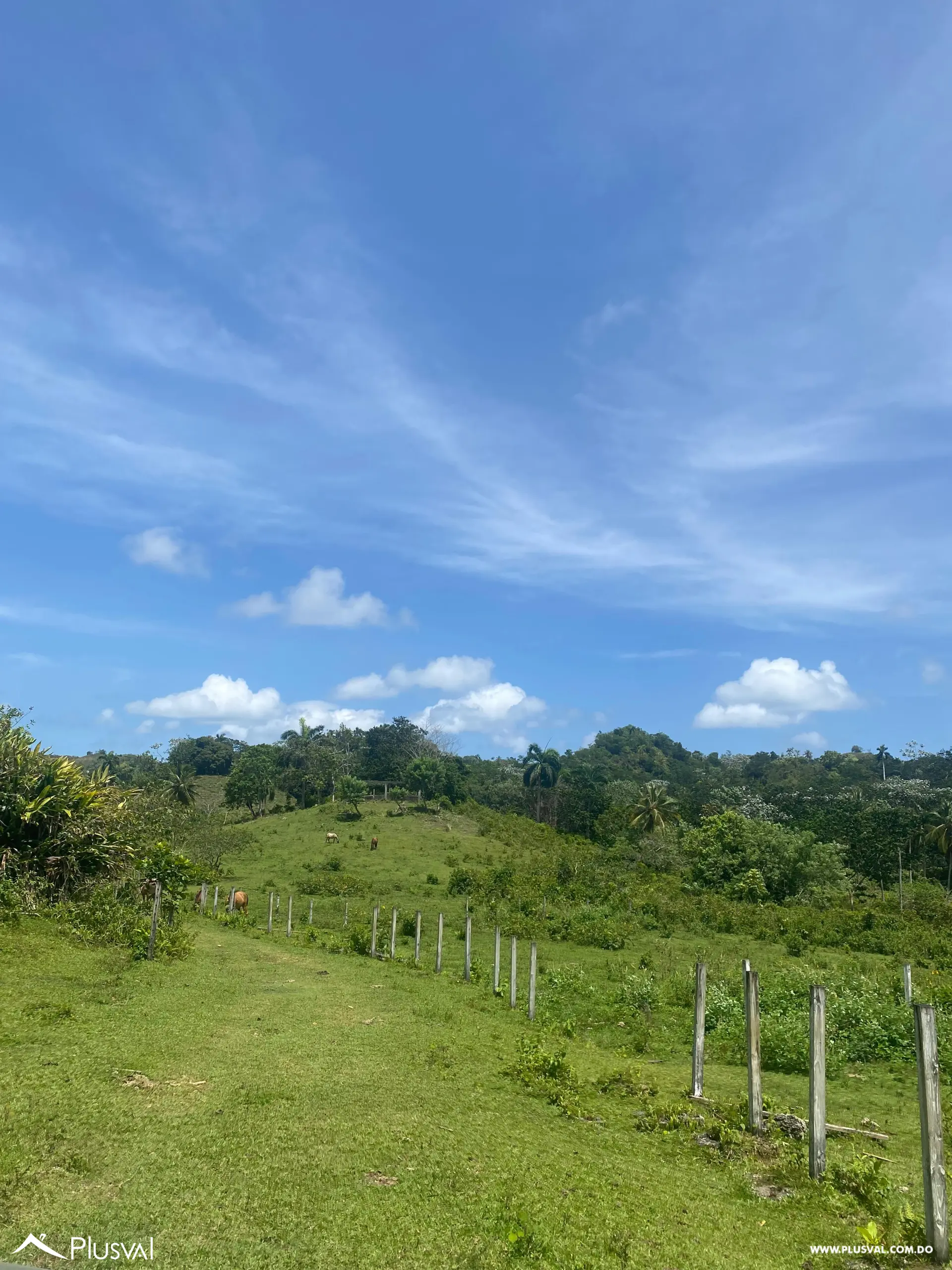 Terreno en Venta en Las Terrenas - Samaná | 190,930 m² Naturaleza y Altitud 463396