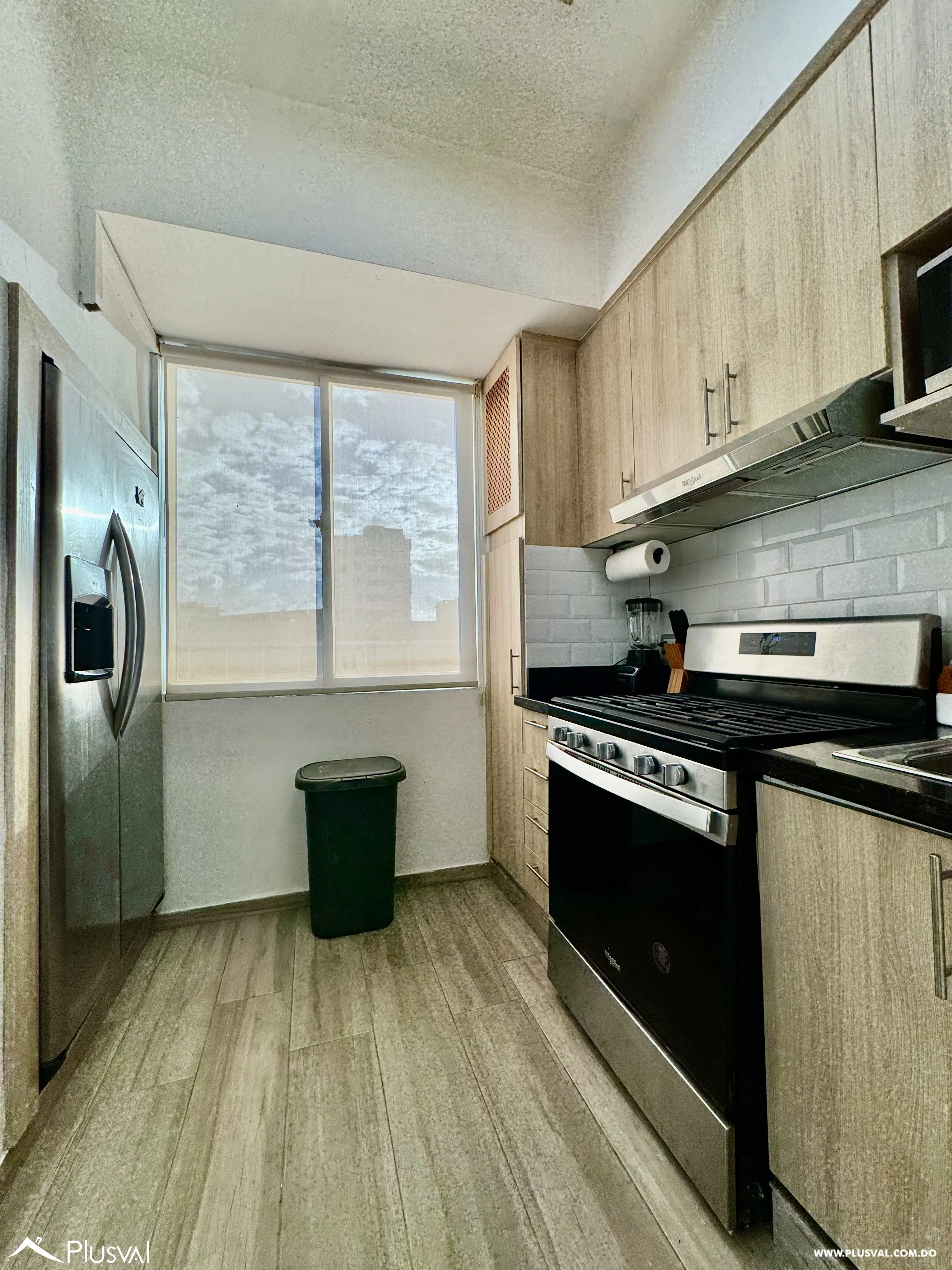 Vendo Maravilloso PH de Lujo en Naco 494692