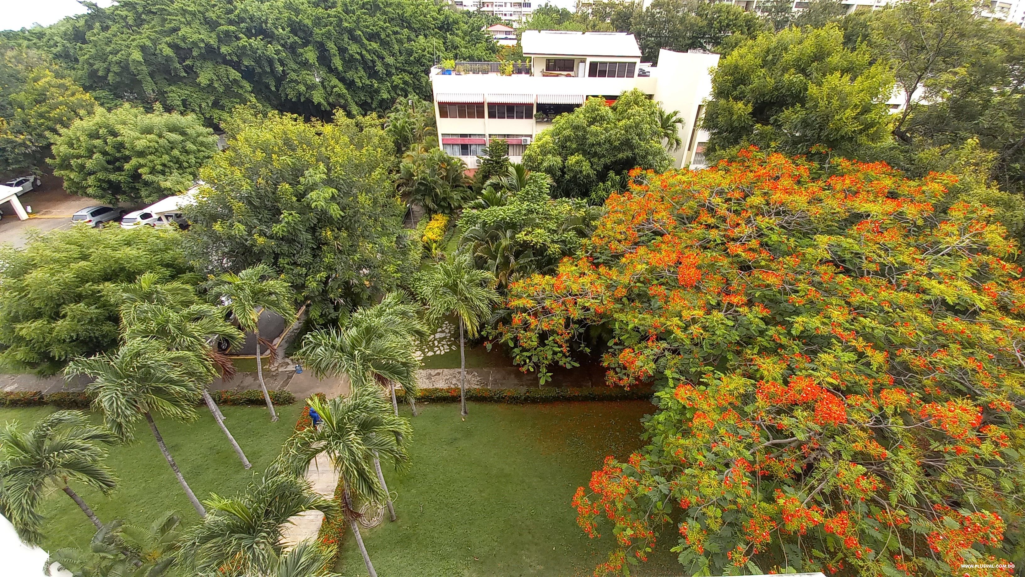 Apartamento de estilo clasico, en alquiler vacio en Condominio Bella Vista 292900