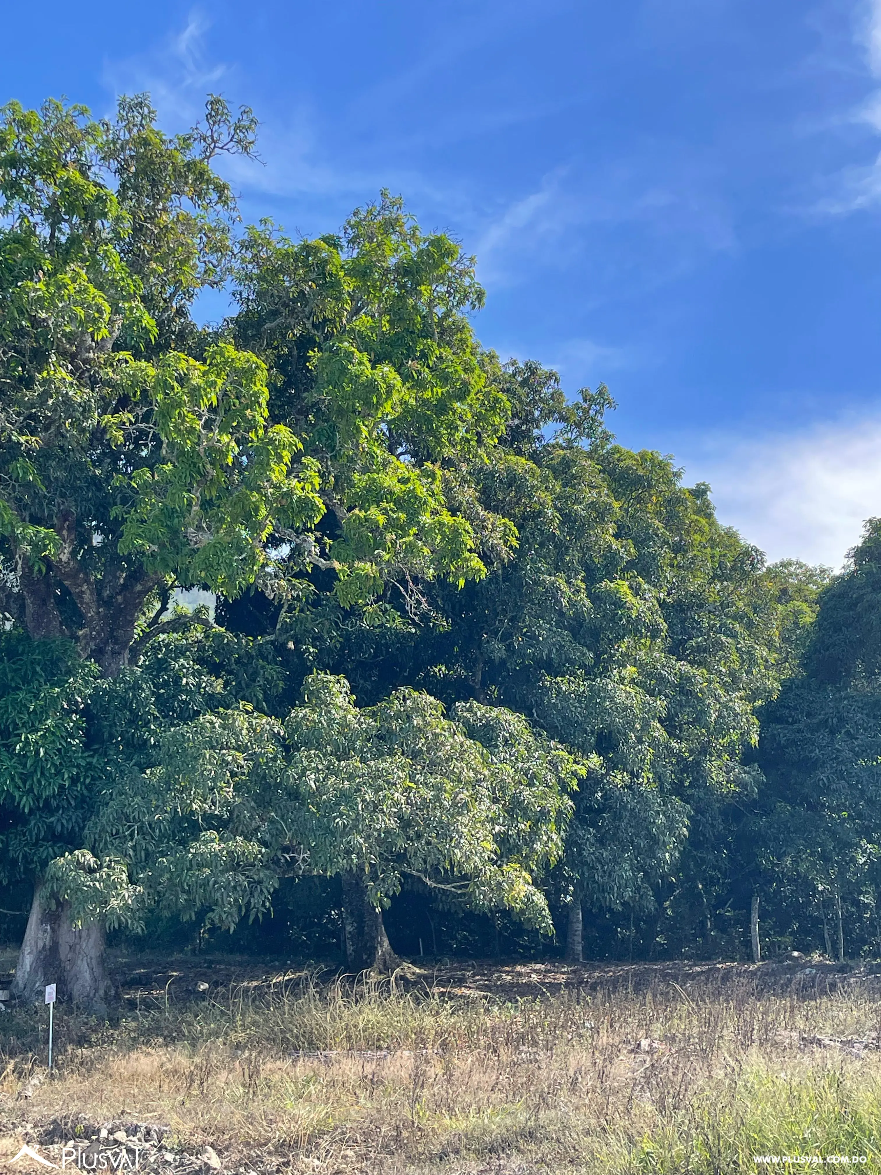 Proyecto de lotes con vista y mucha naturaleza en Jarabacoa 457408