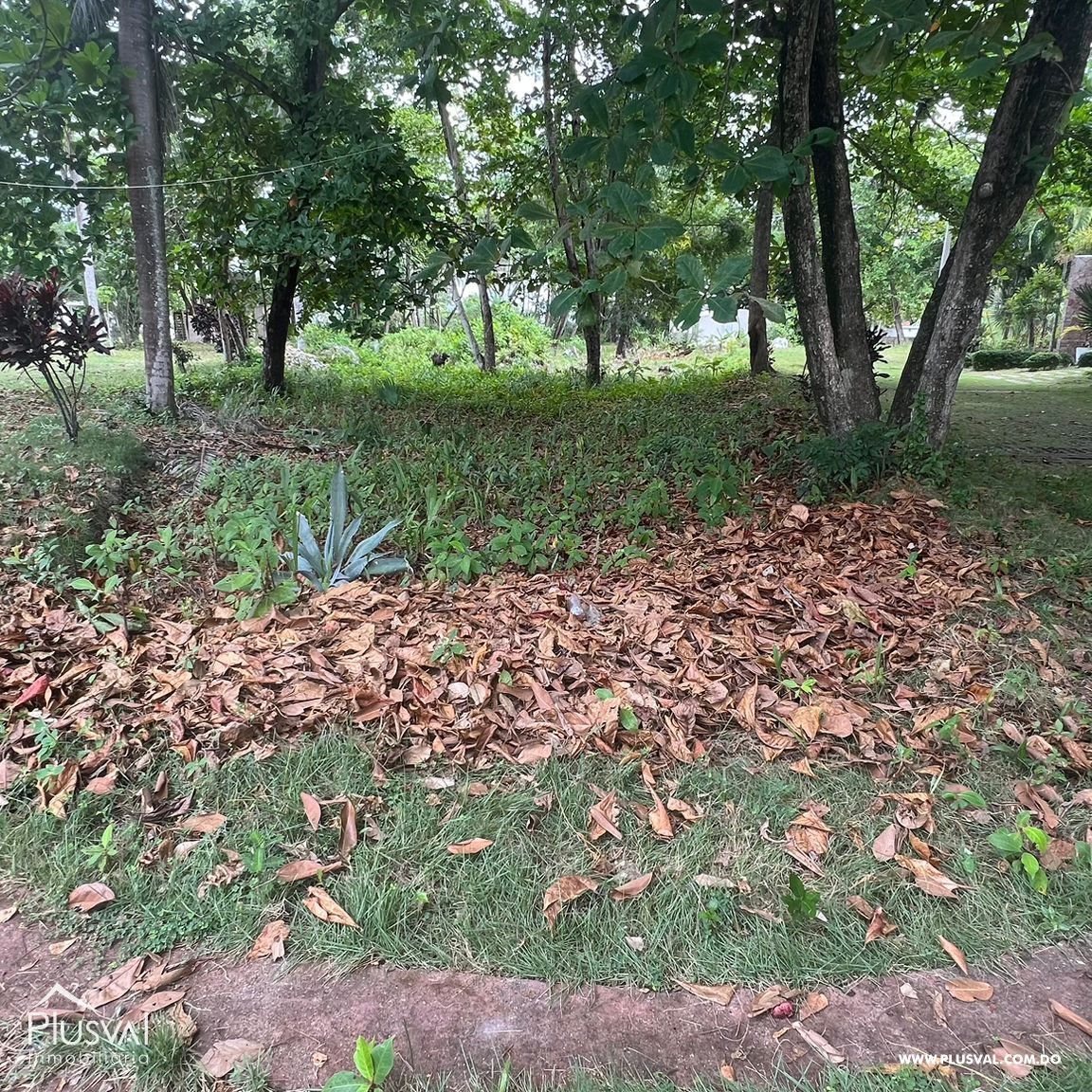 Solar en venta en Cabarete 390911