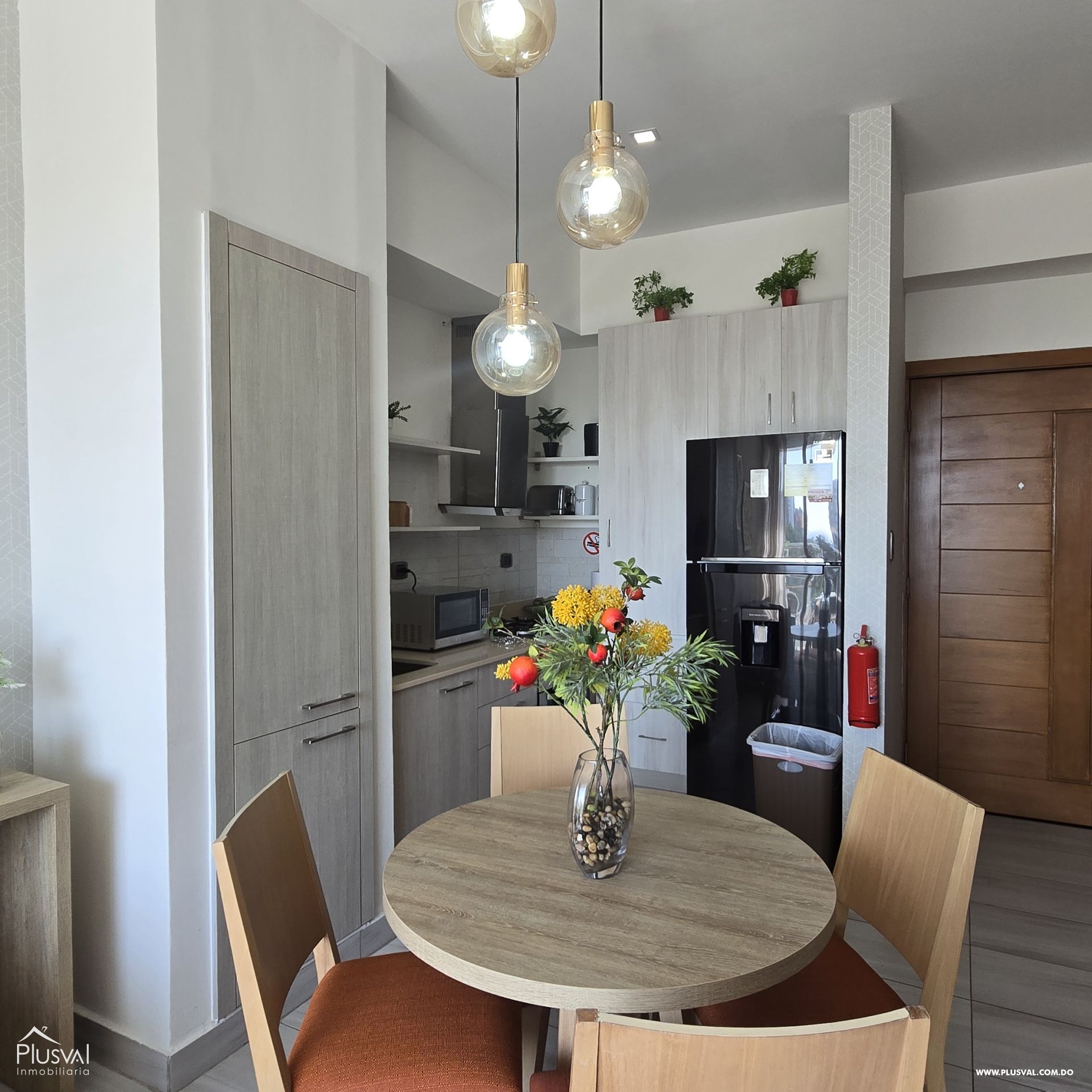 Apartamento amueblado en alquiler, Naco 400676