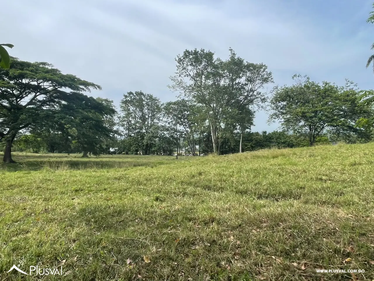 Terreno en venta en El Pino, La Vega 515312