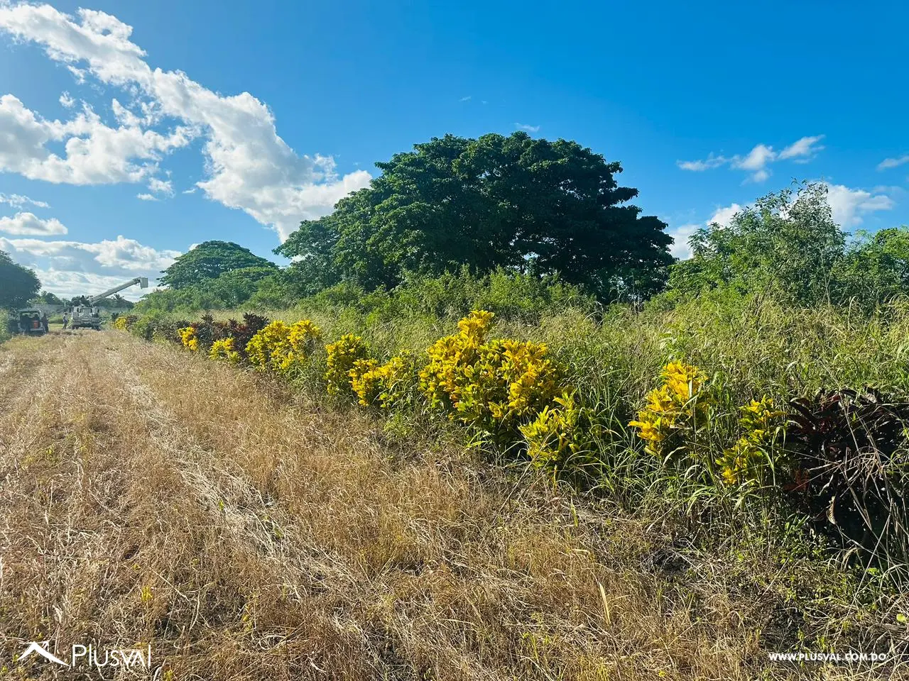 Residencial Las Trinitarias 474052