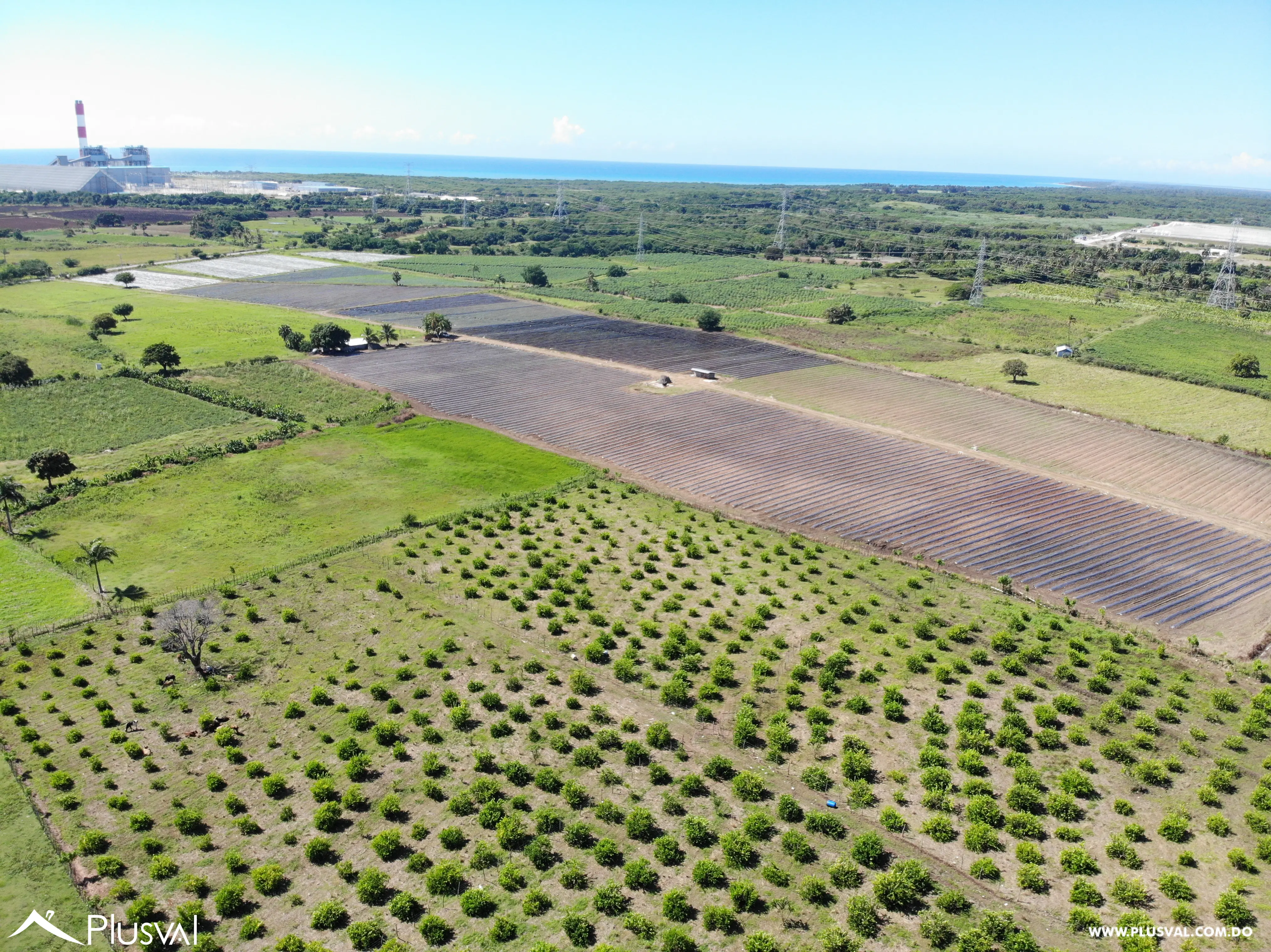 Se vende finca en Baní 460693